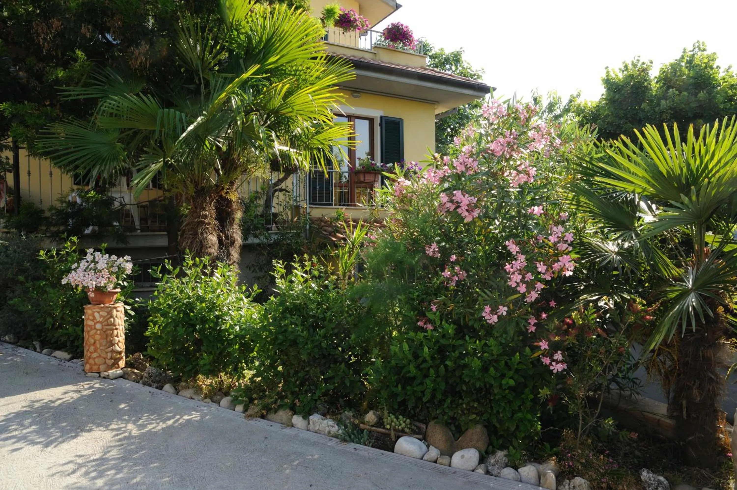 Garden in Nonno Pio