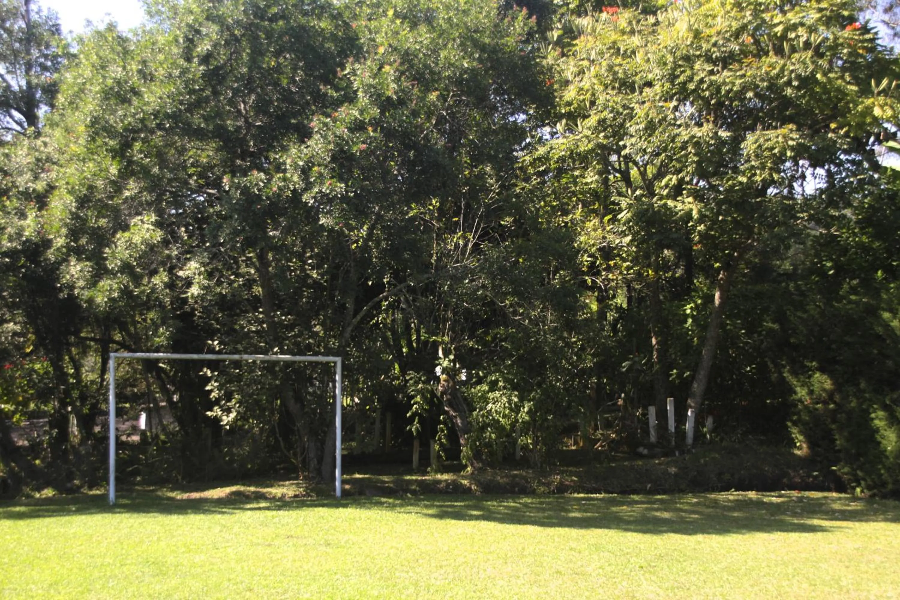 View (from property/room) in Pousada Bezerra