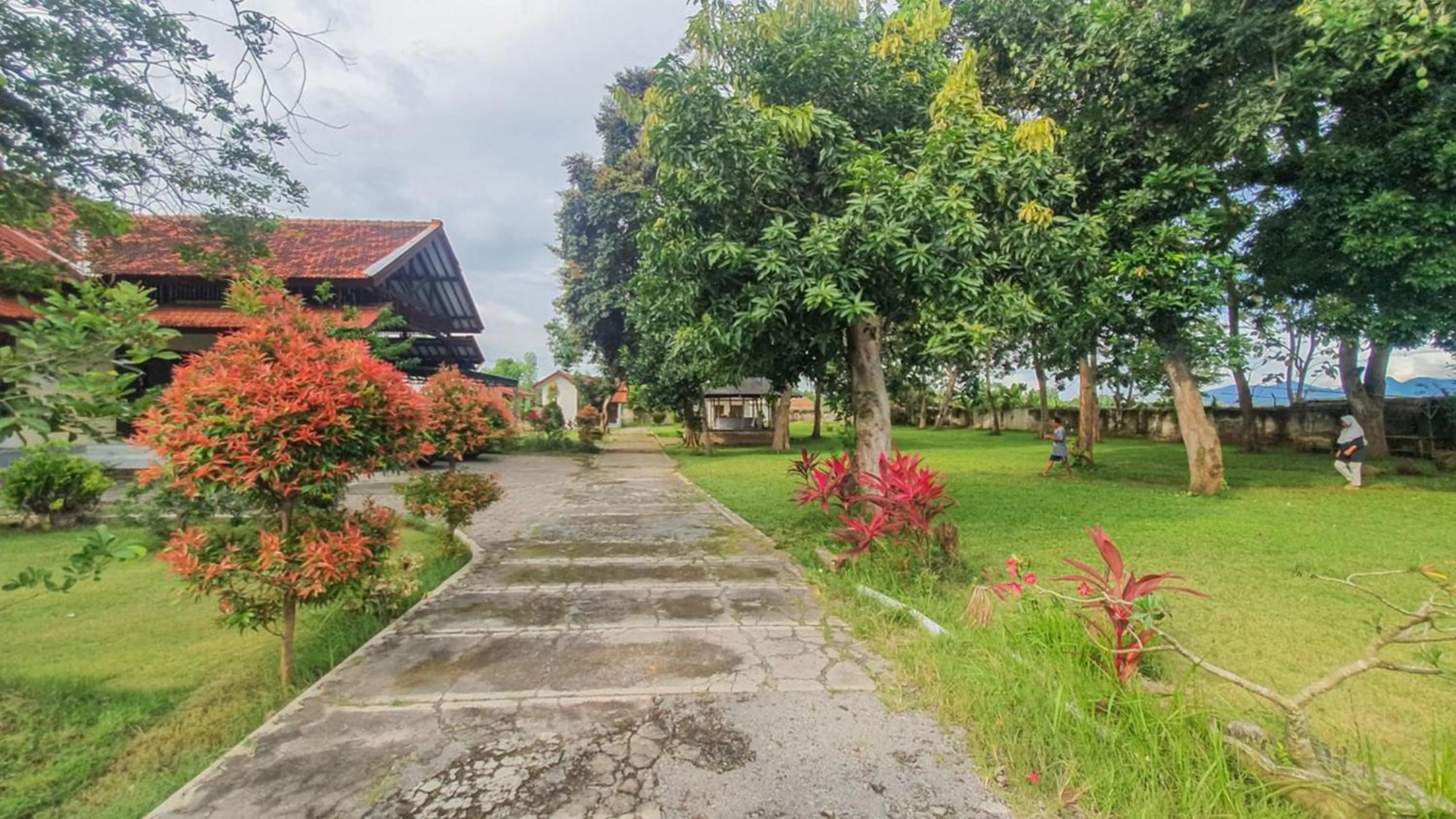 Garden view in Villa Pakis Residence Banyuwangi