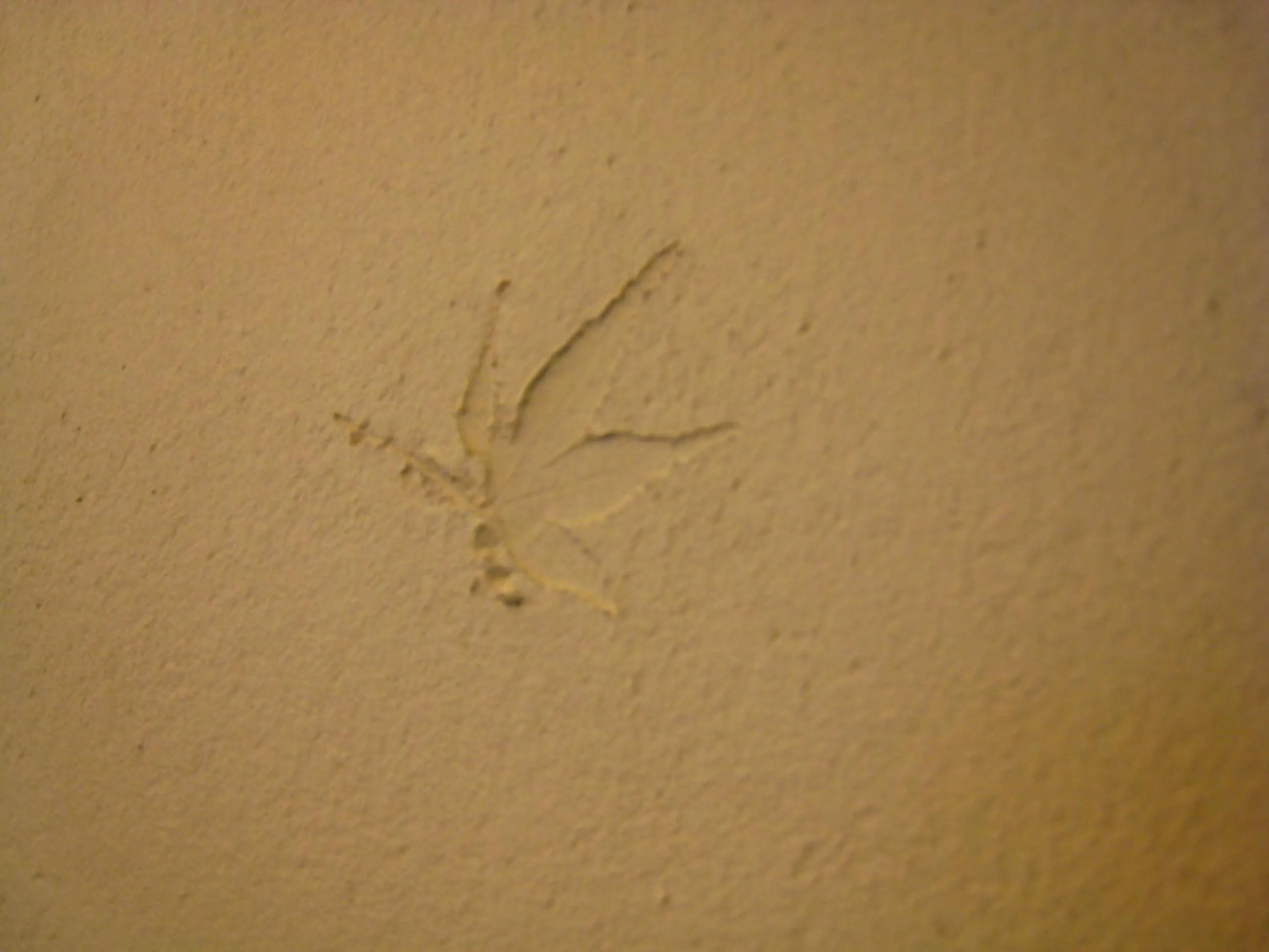 Decorative detail in Sendai Guest House UMEBACHI