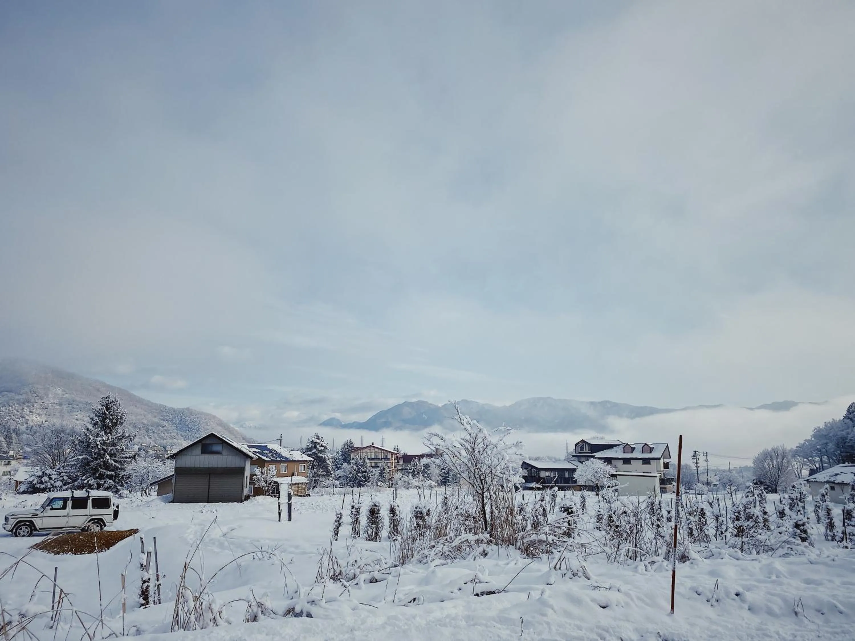 Day in Apricot Pension