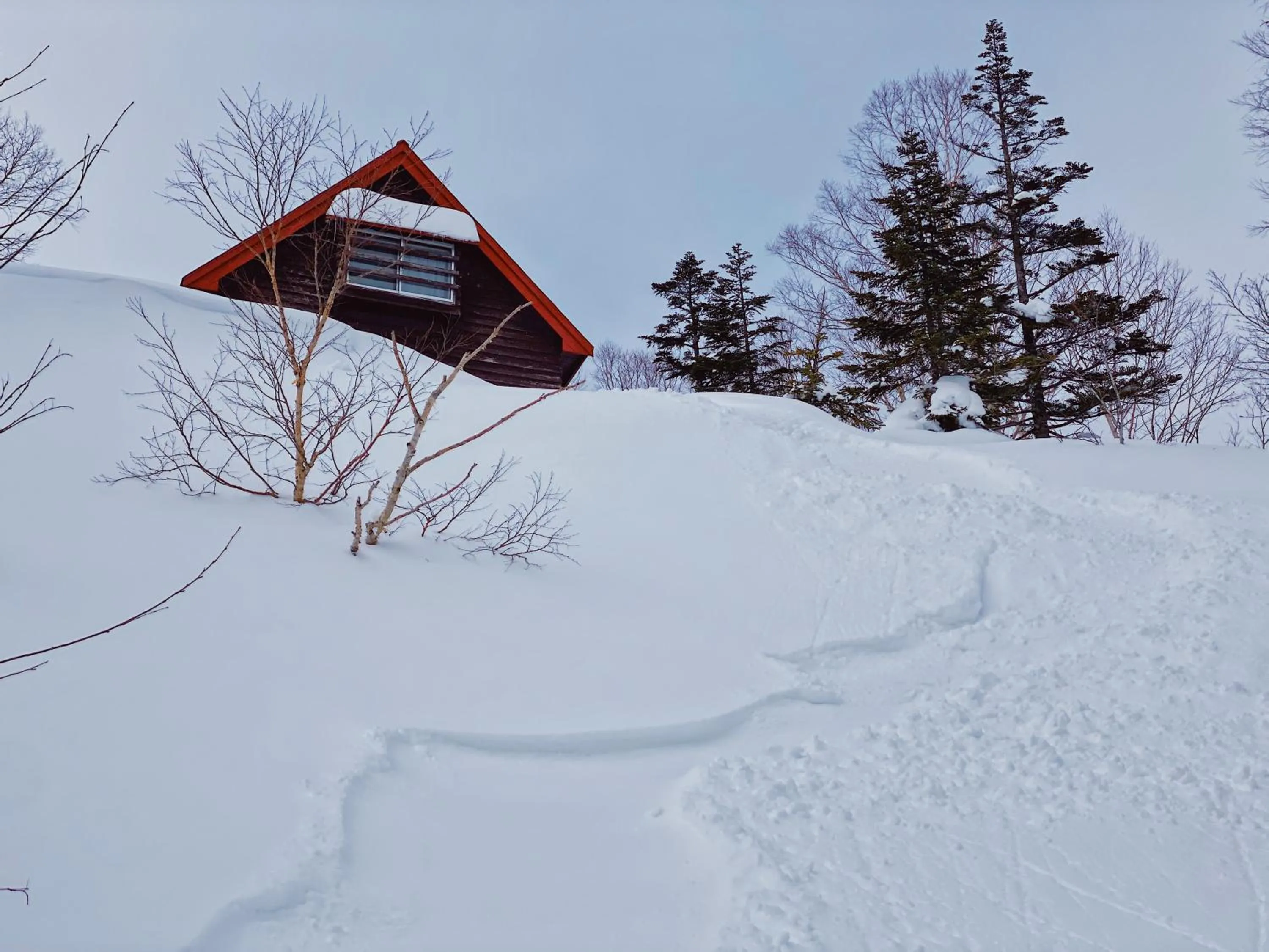 Day in Apricot Pension