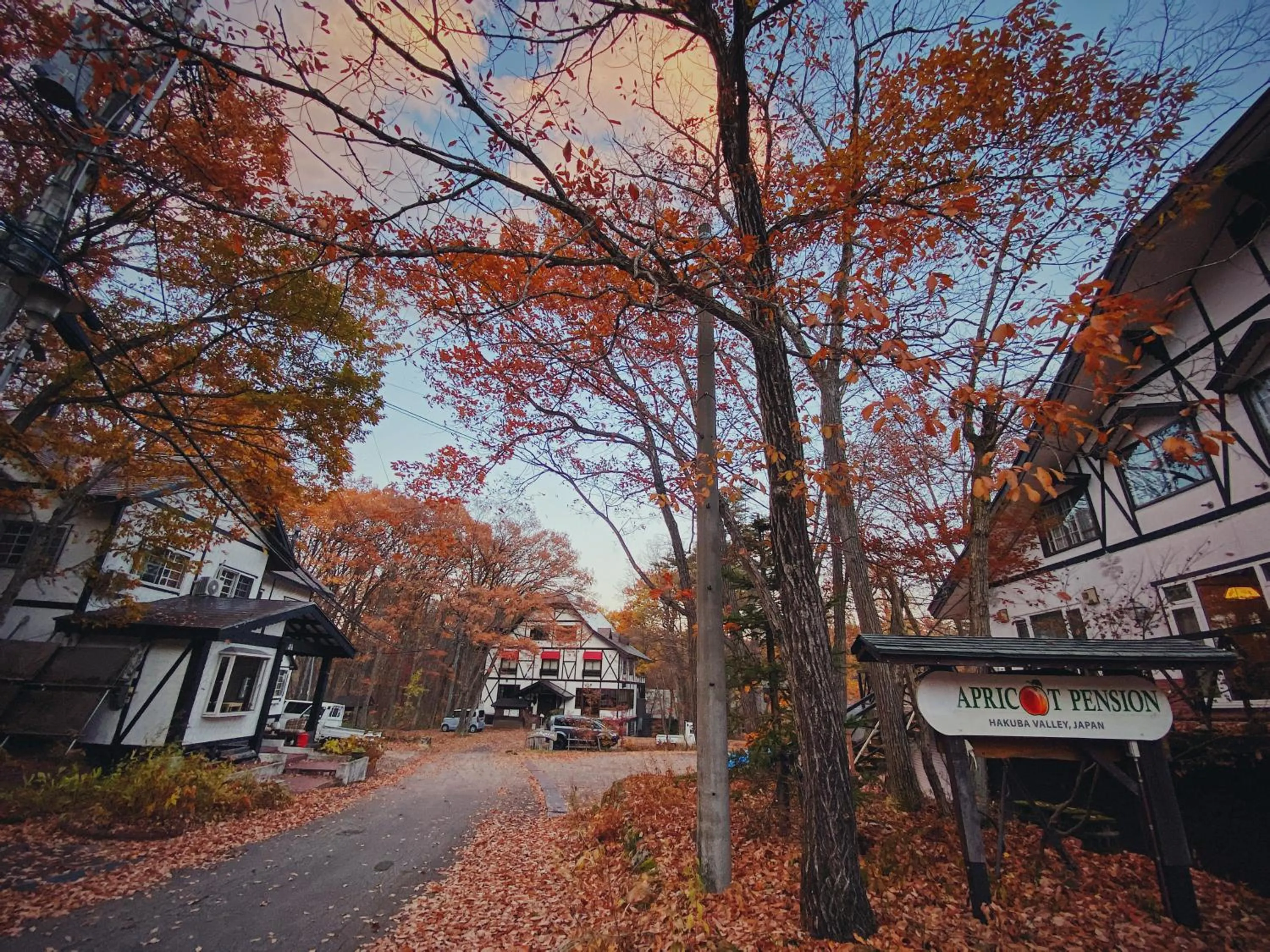 Property building in Apricot Pension