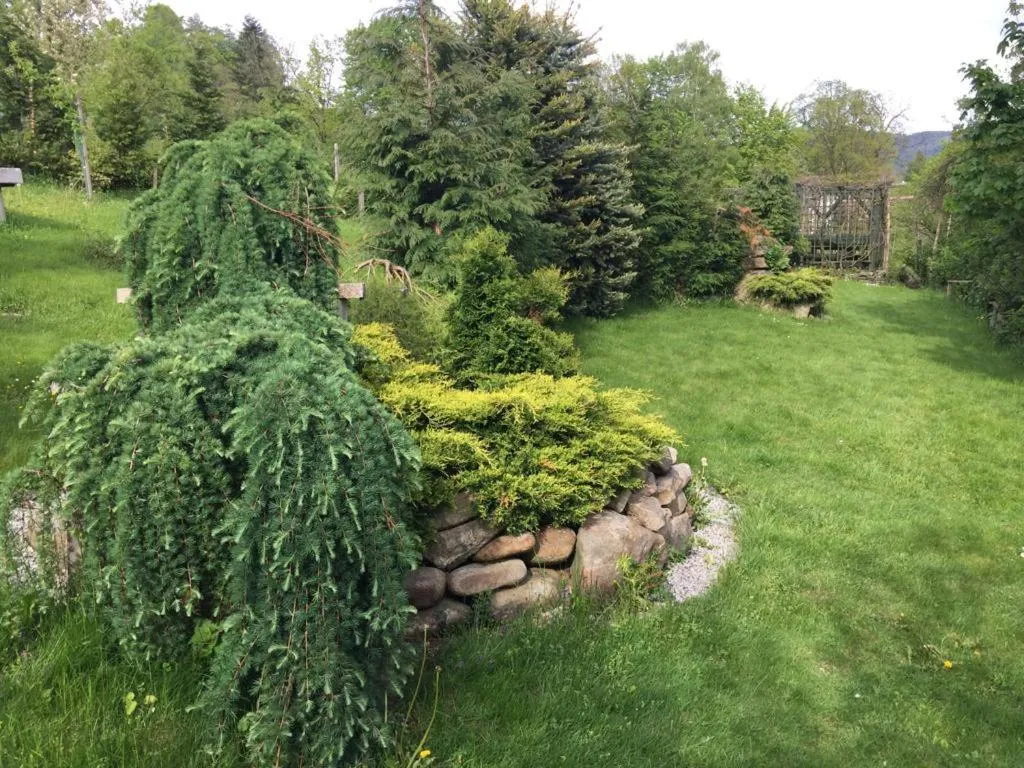 Property building in U Janka