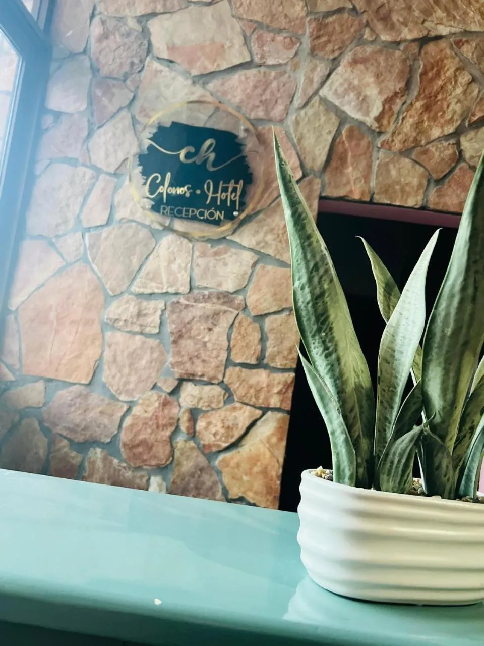 Lobby or reception in Hotel Colonos Los Cabos