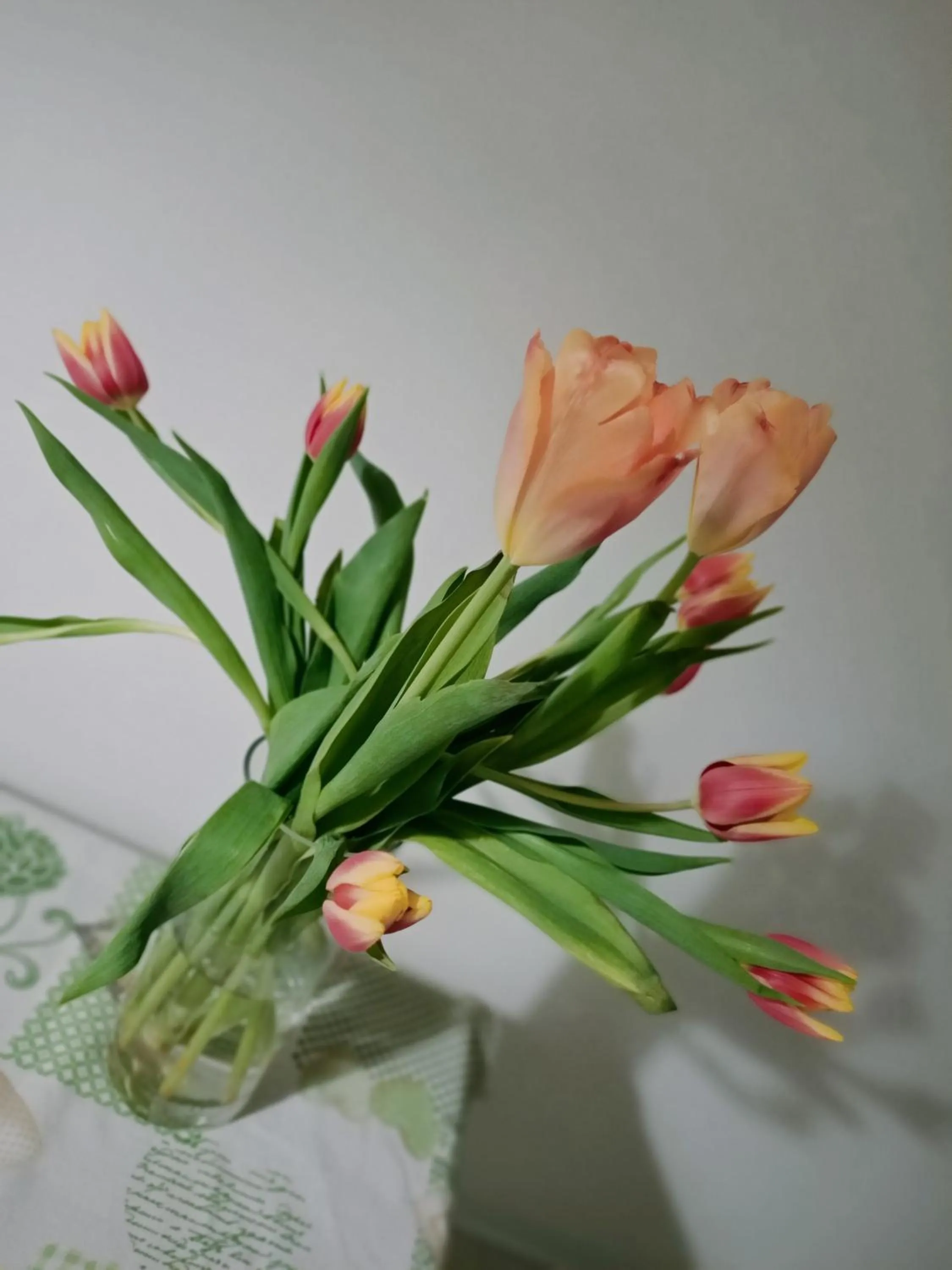 Decorative detail in La casa sul tetto, Room's & Glamping