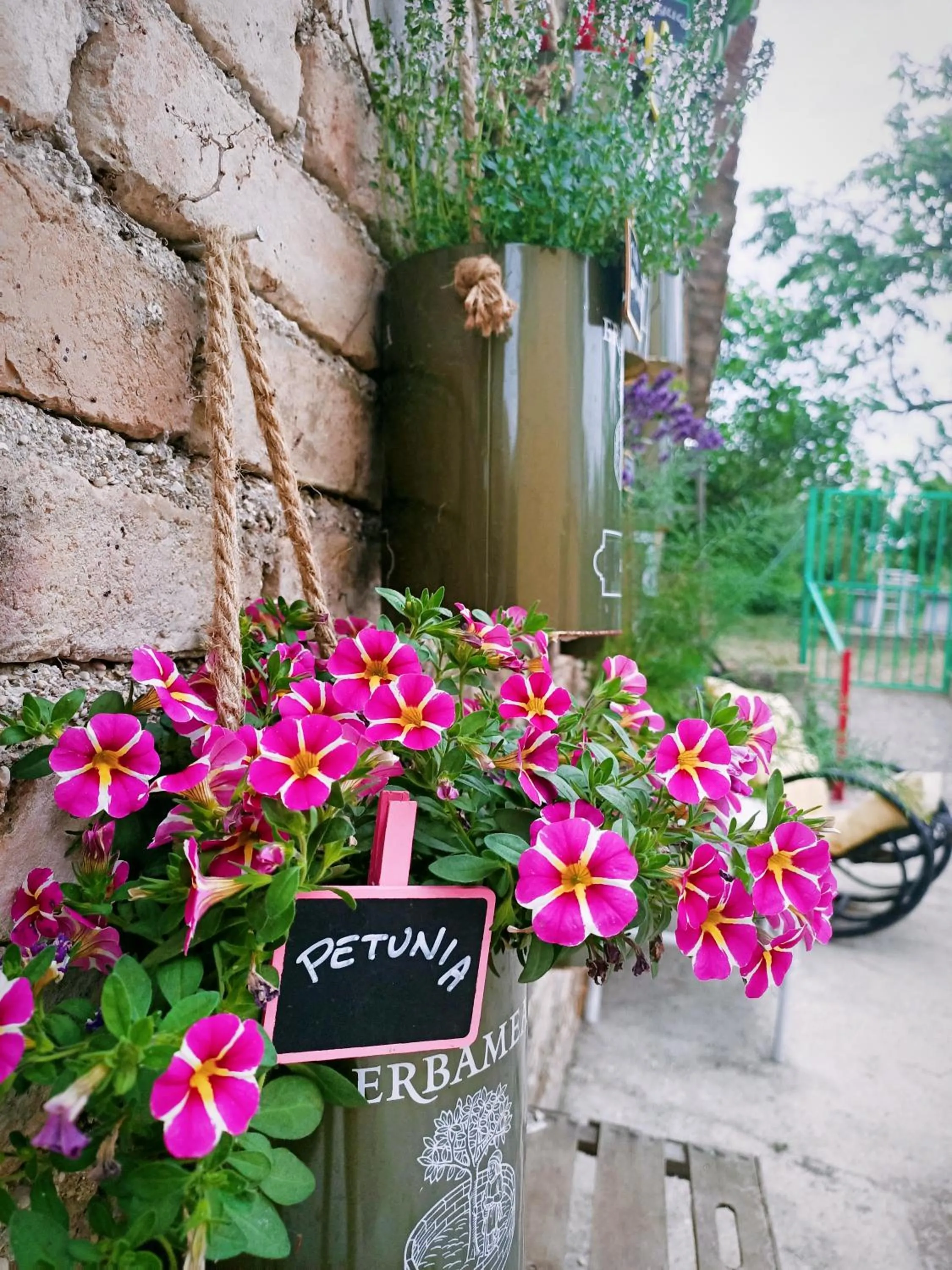 Day in La casa sul tetto, Room's & Glamping