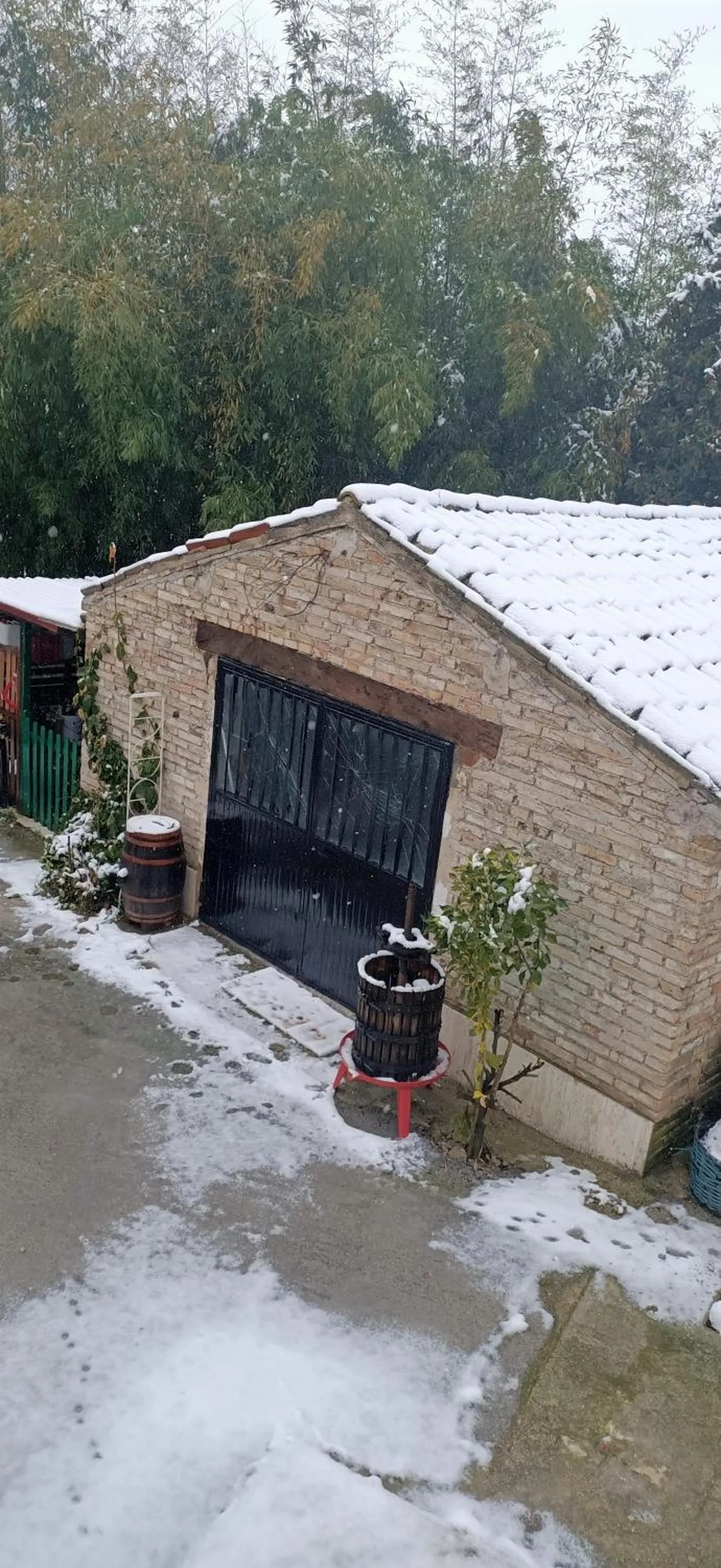 Property building in La casa sul tetto, Room's & Glamping