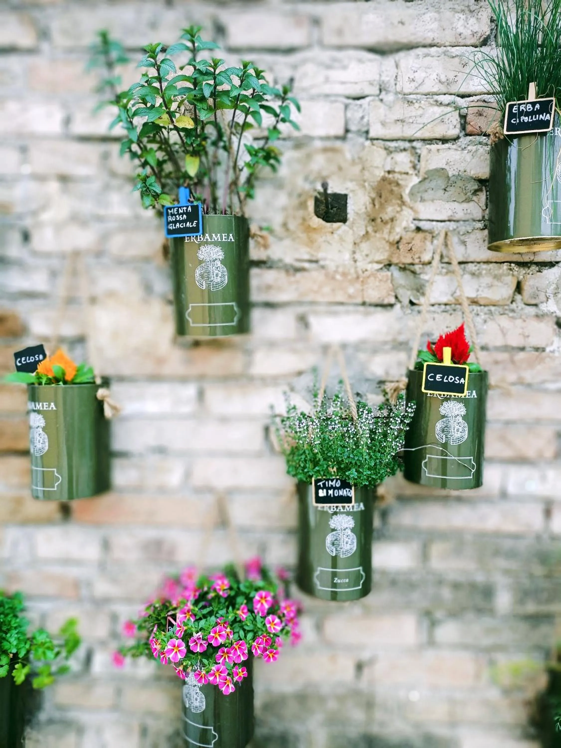 Day in La casa sul tetto, Room's & Glamping