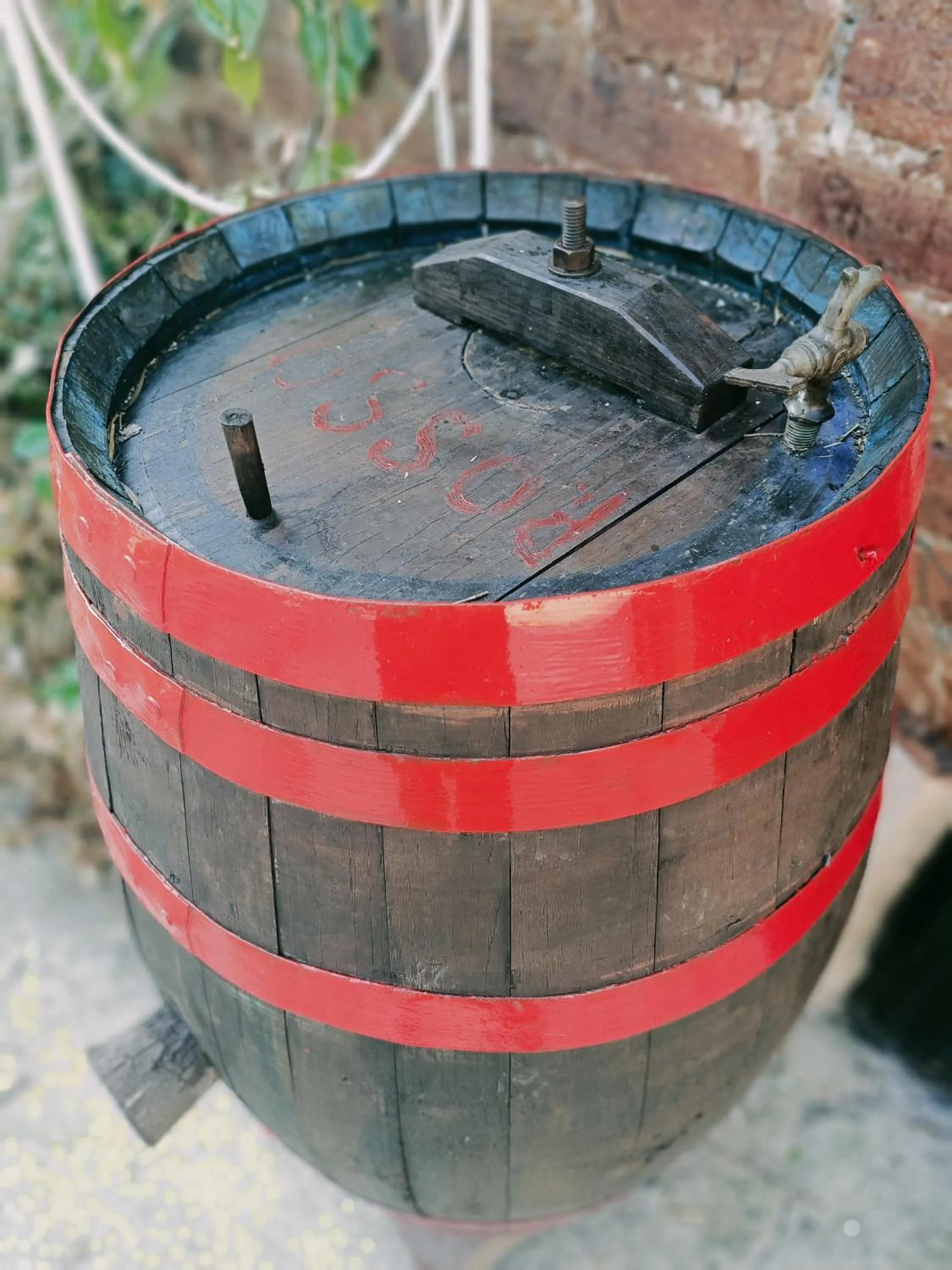 Garden in La casa sul tetto, Room's & Glamping