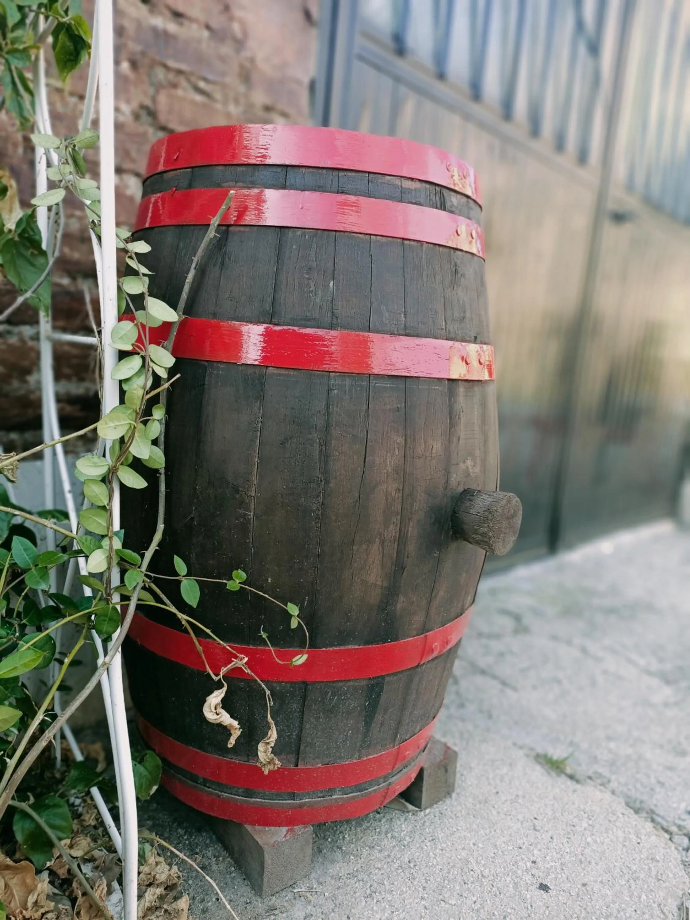 Garden in La casa sul tetto, Room's & Glamping