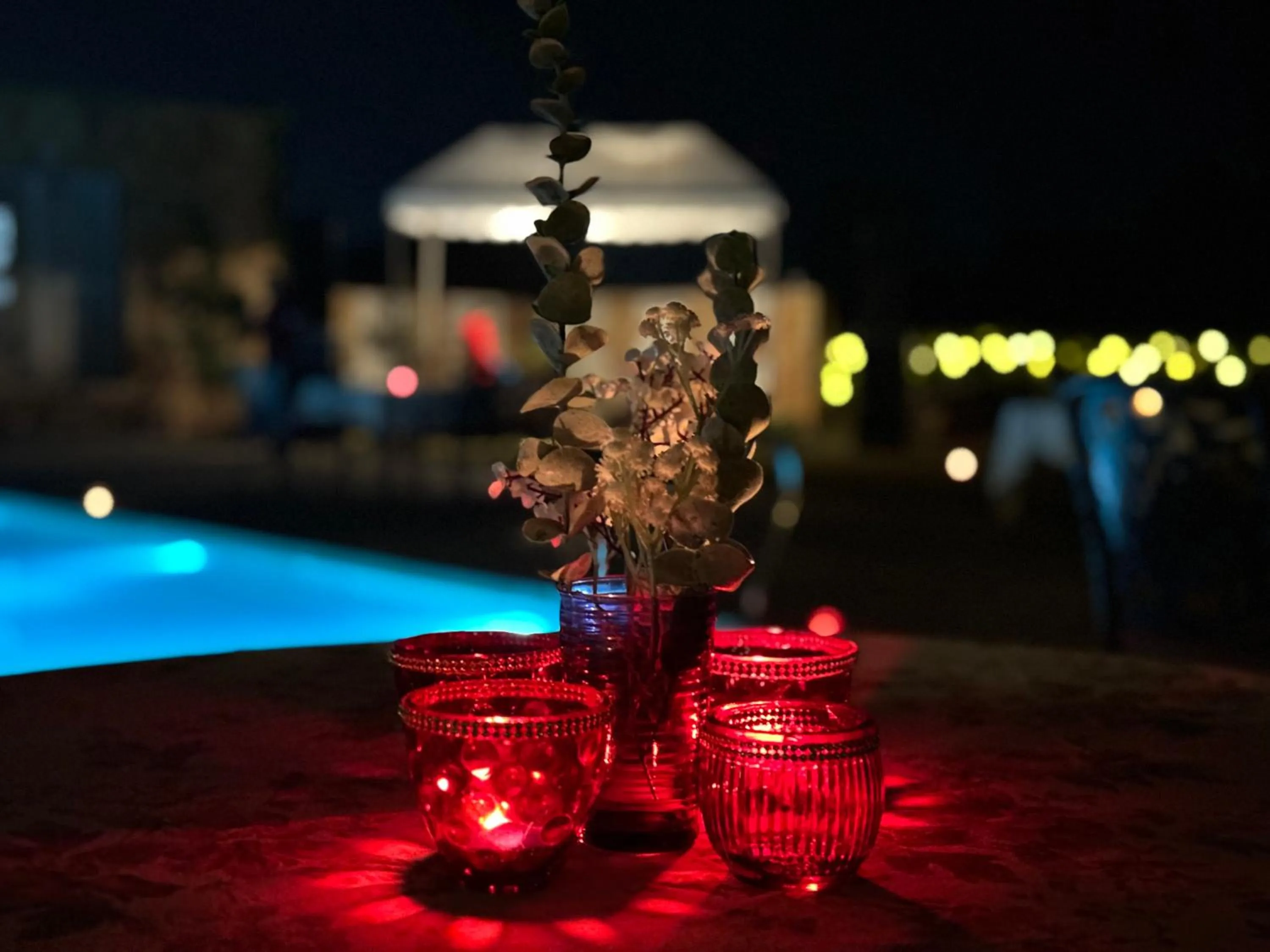 Pool view in Sariska Safari Lodge