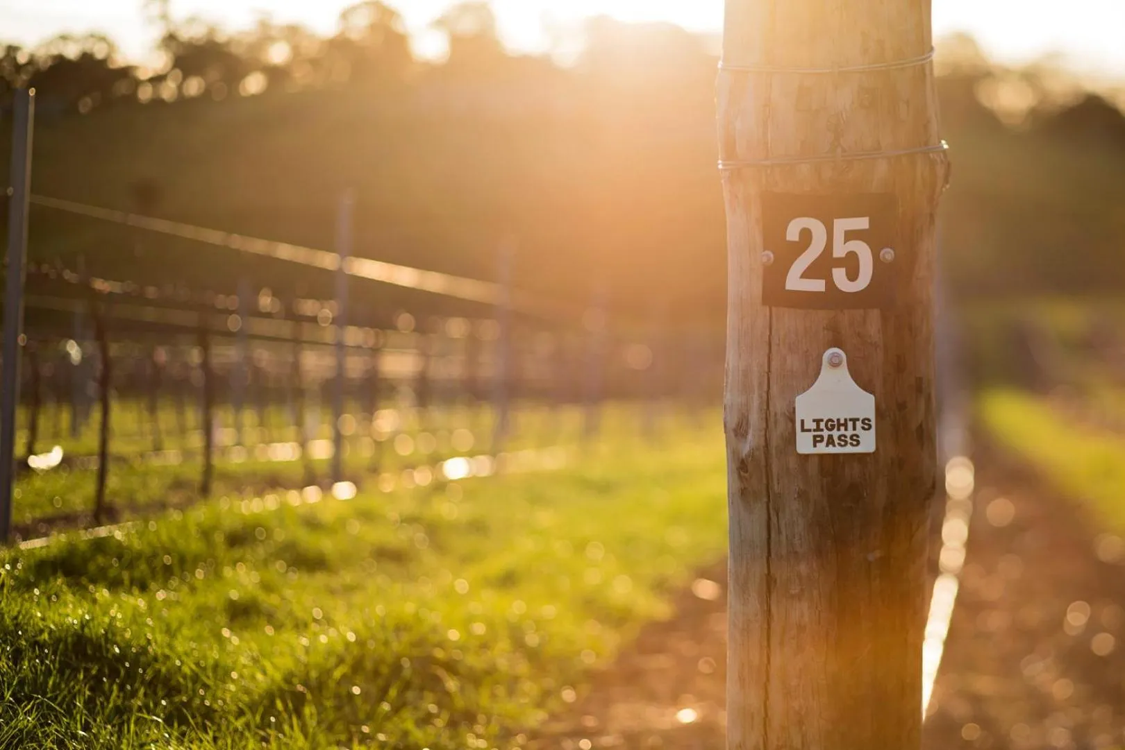 View (from property/room) in The Louise