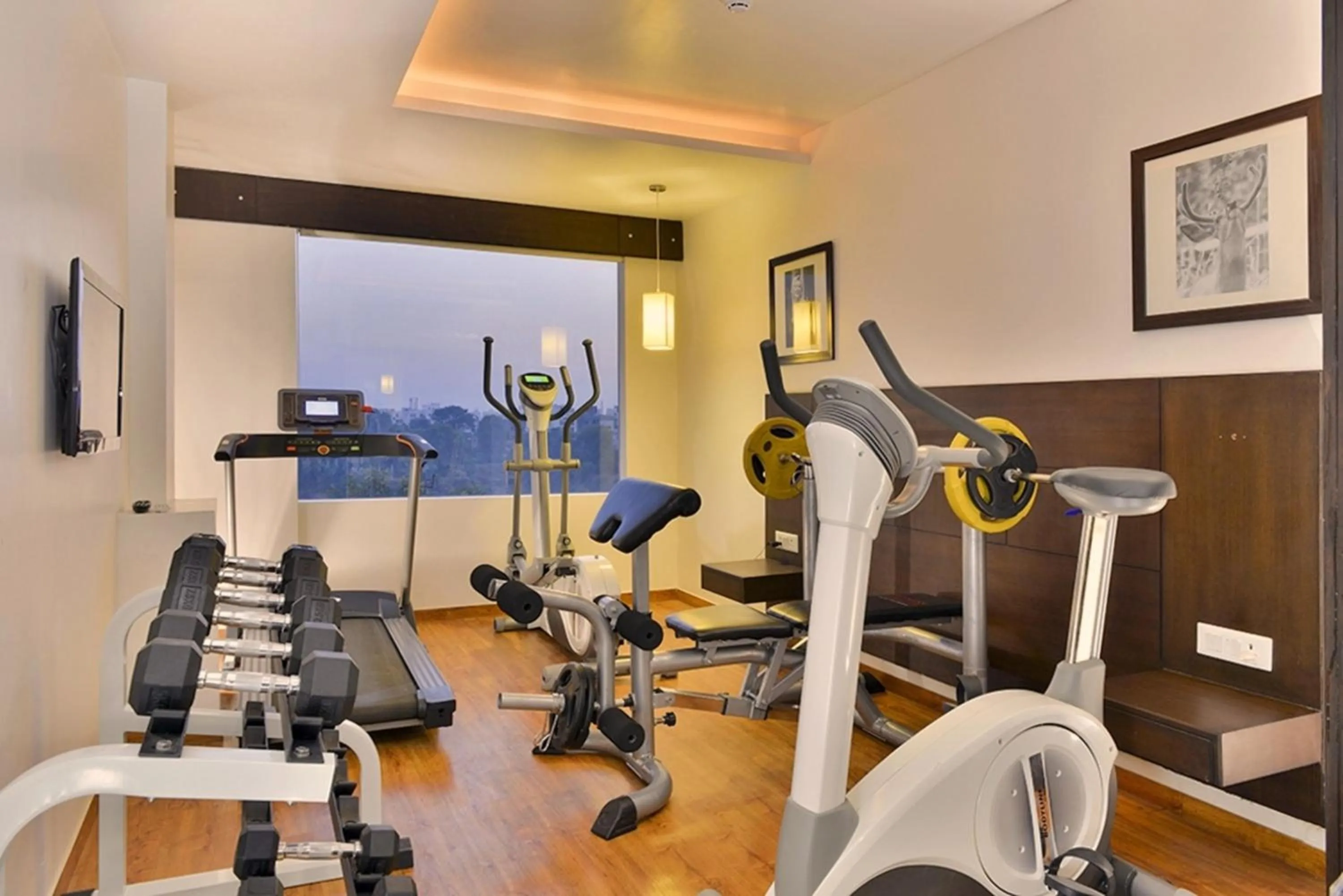 Fitness centre/facilities in Hotel Clarks Collection Vadodara