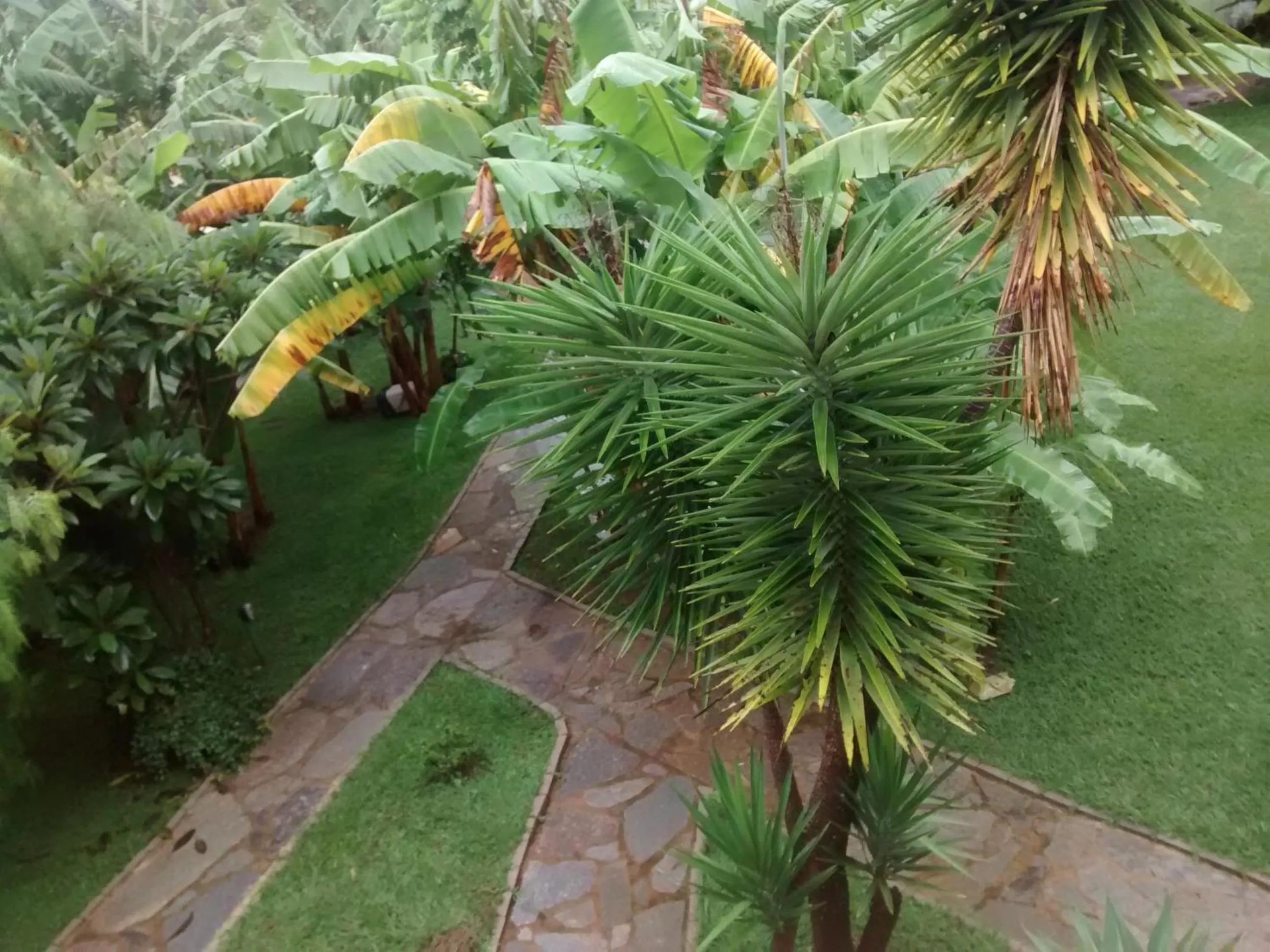 Other in Pousada Banana Cipó