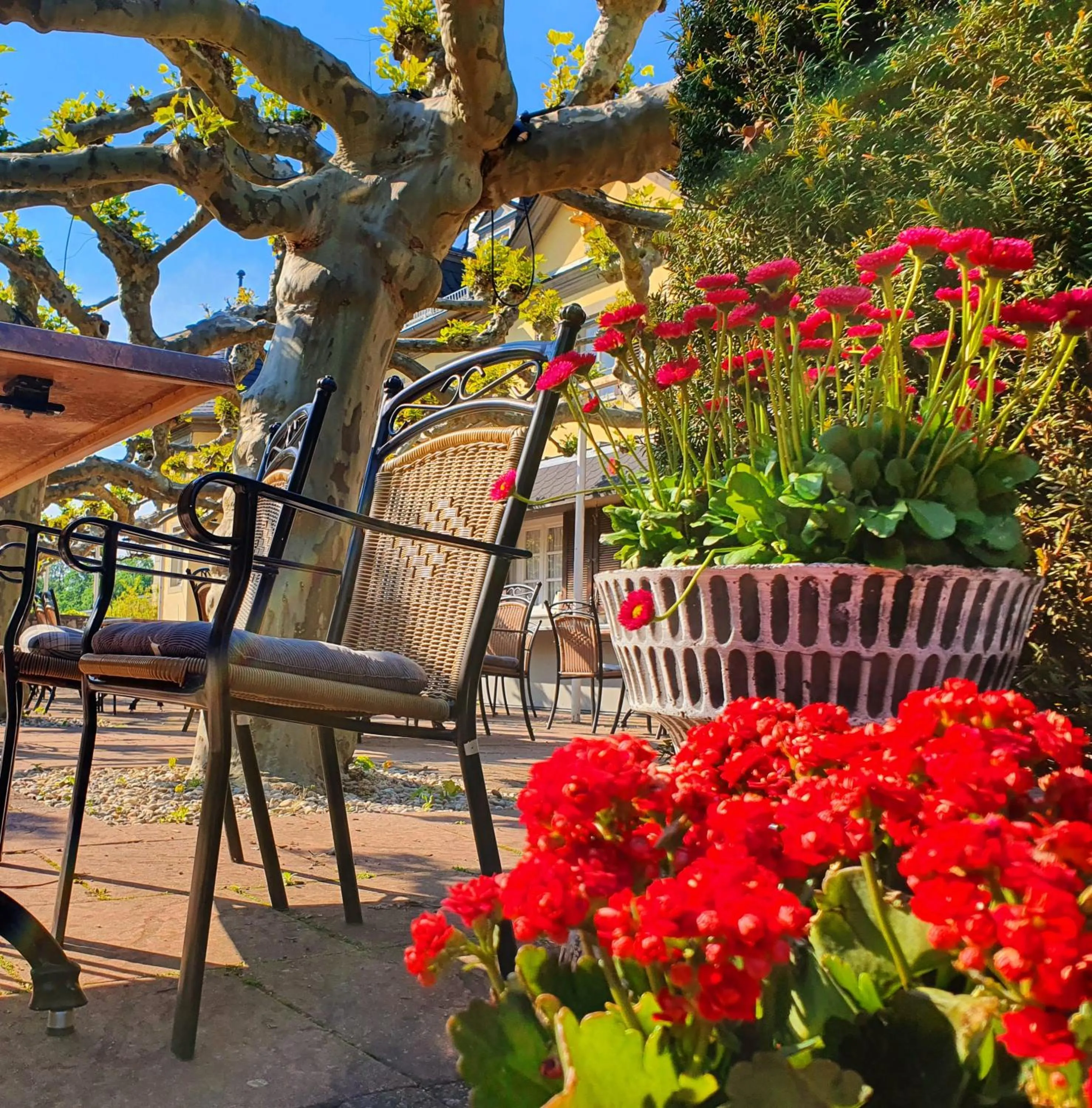 Restaurant/places to eat in Jagdschloss Hotel Niederwald