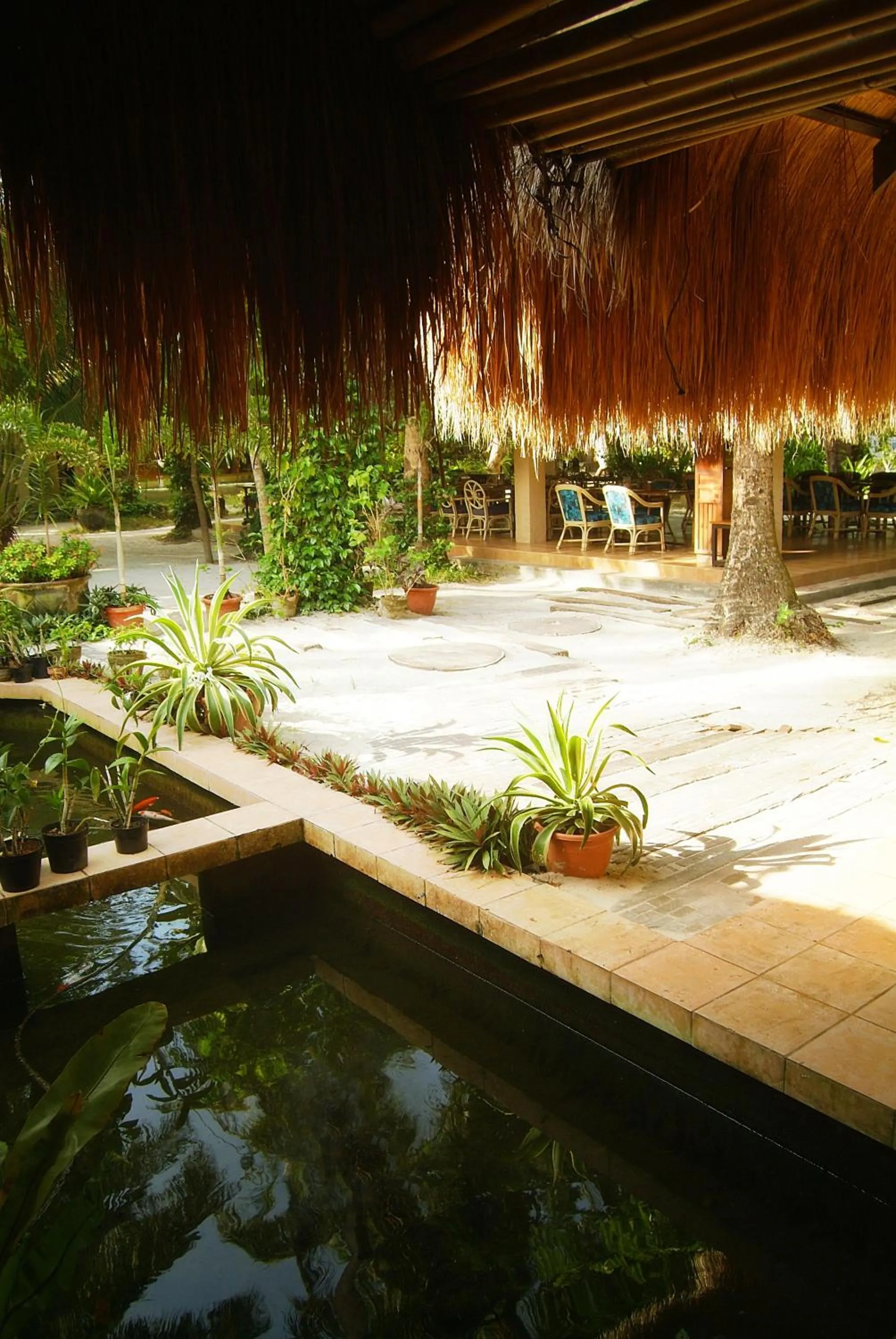 Area and facilities in Sea Wind Resort