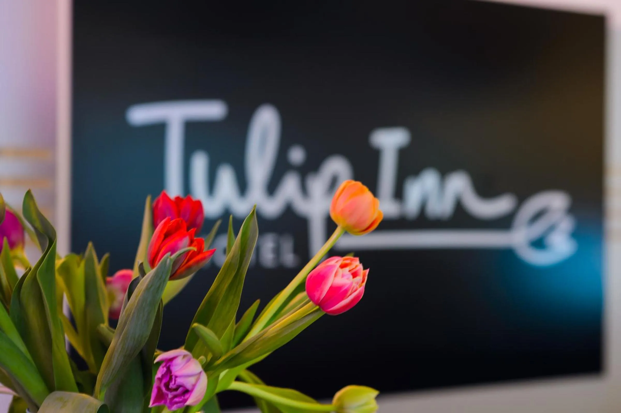 Property building in Tulip Inn Ludwigshafen City
