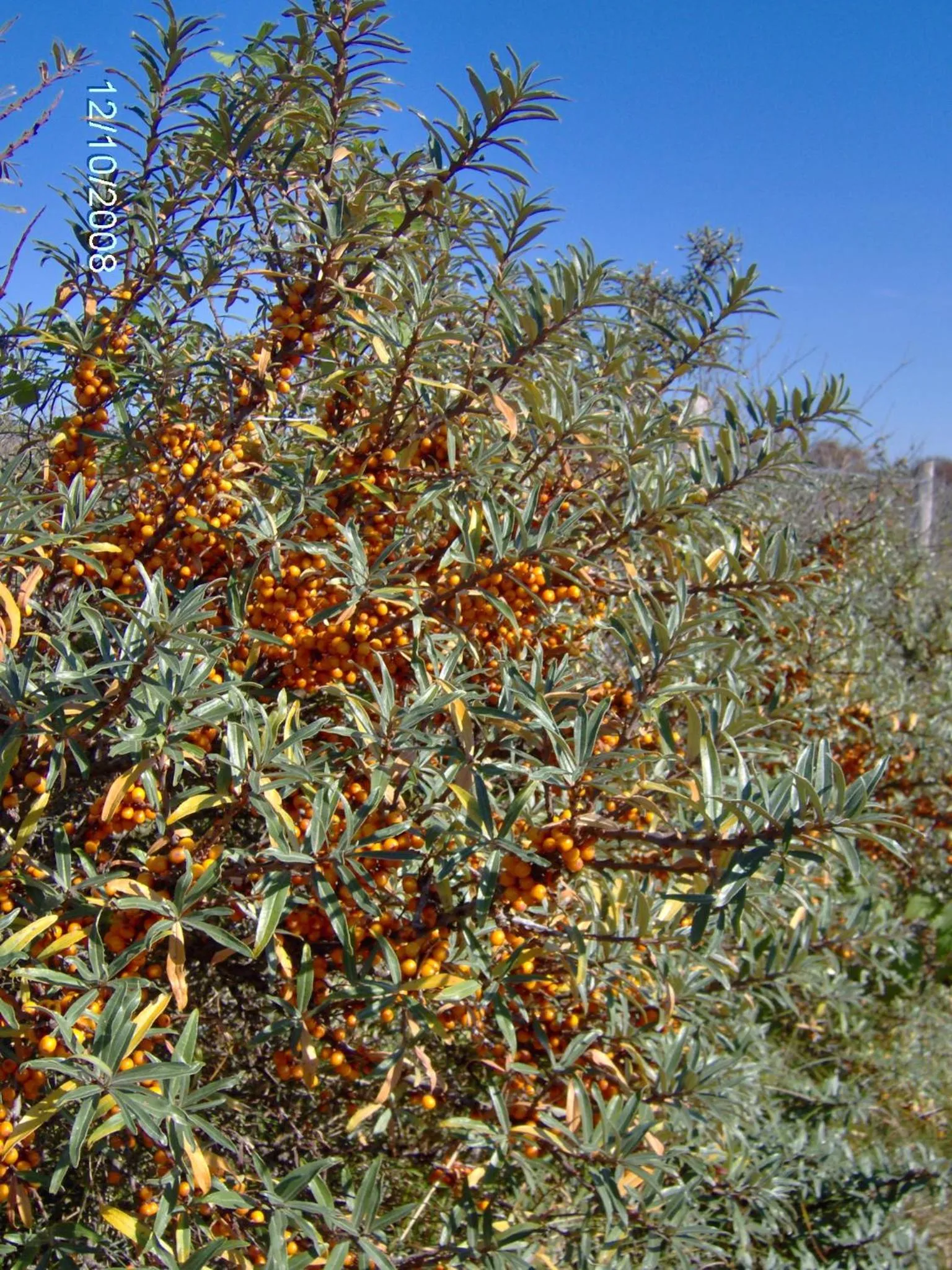 Natural landscape in La VILLA en BAIE