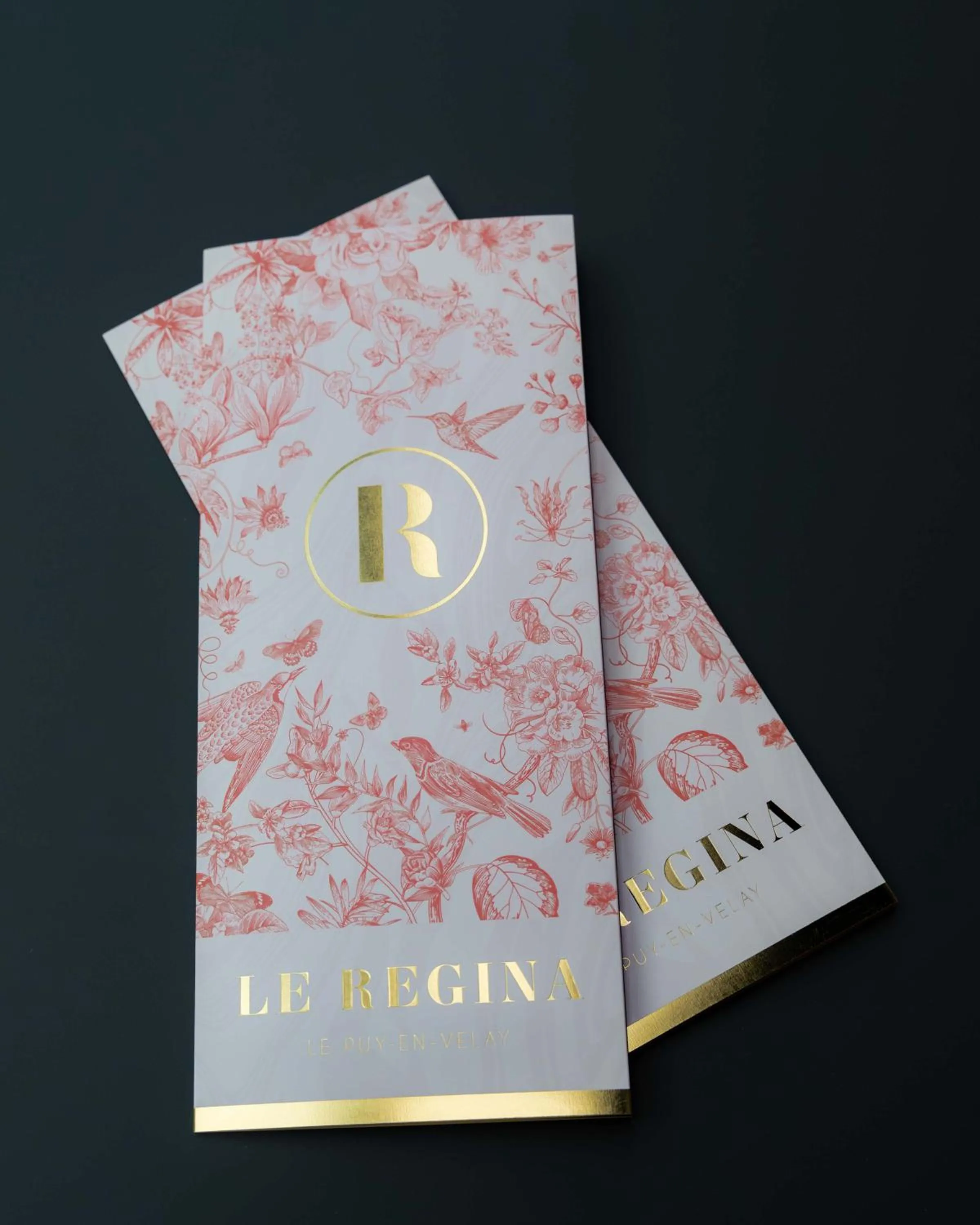 Property logo or sign in Hôtel et Restaurant Le Regina