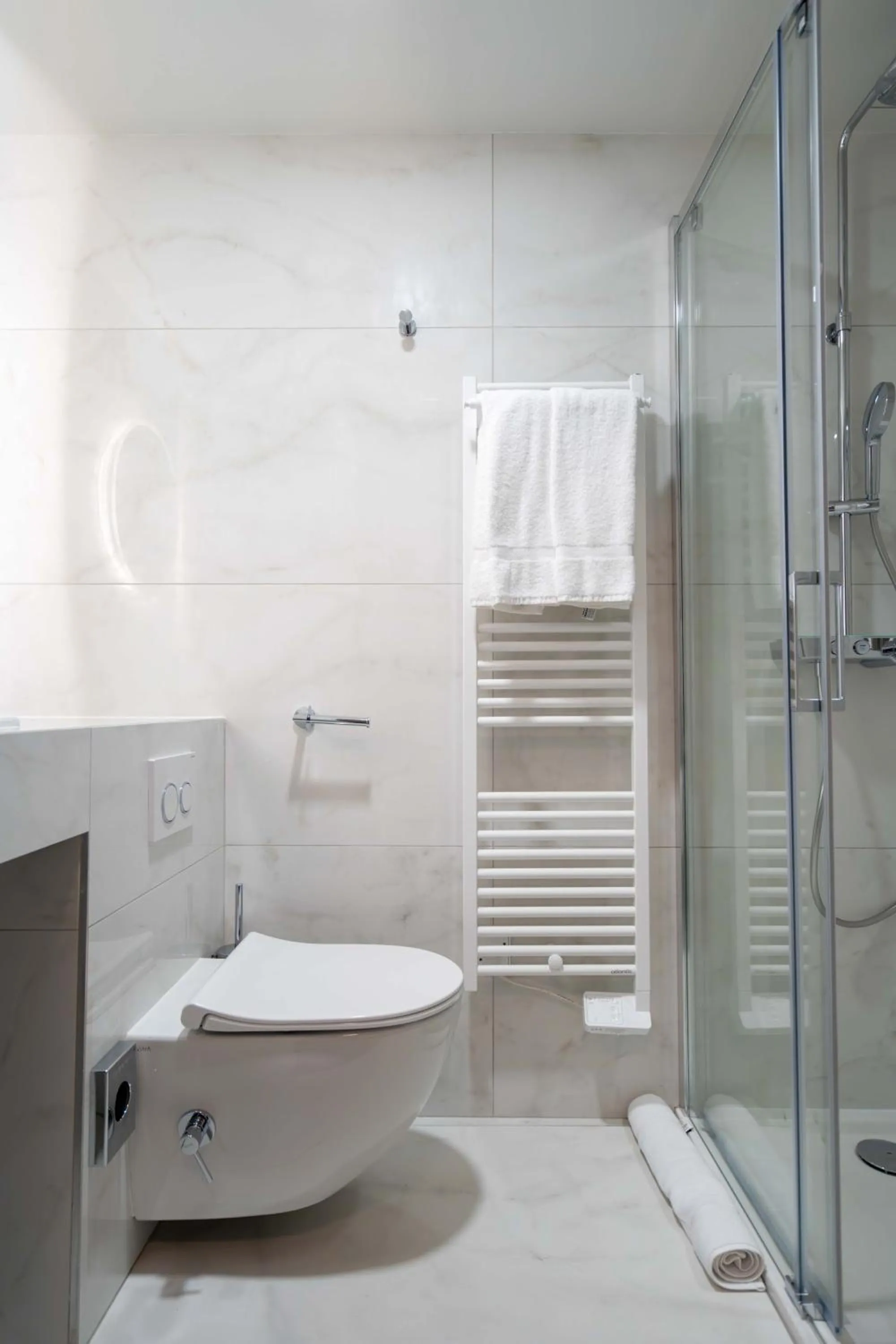 Shower in Hôtel et Restaurant Le Regina