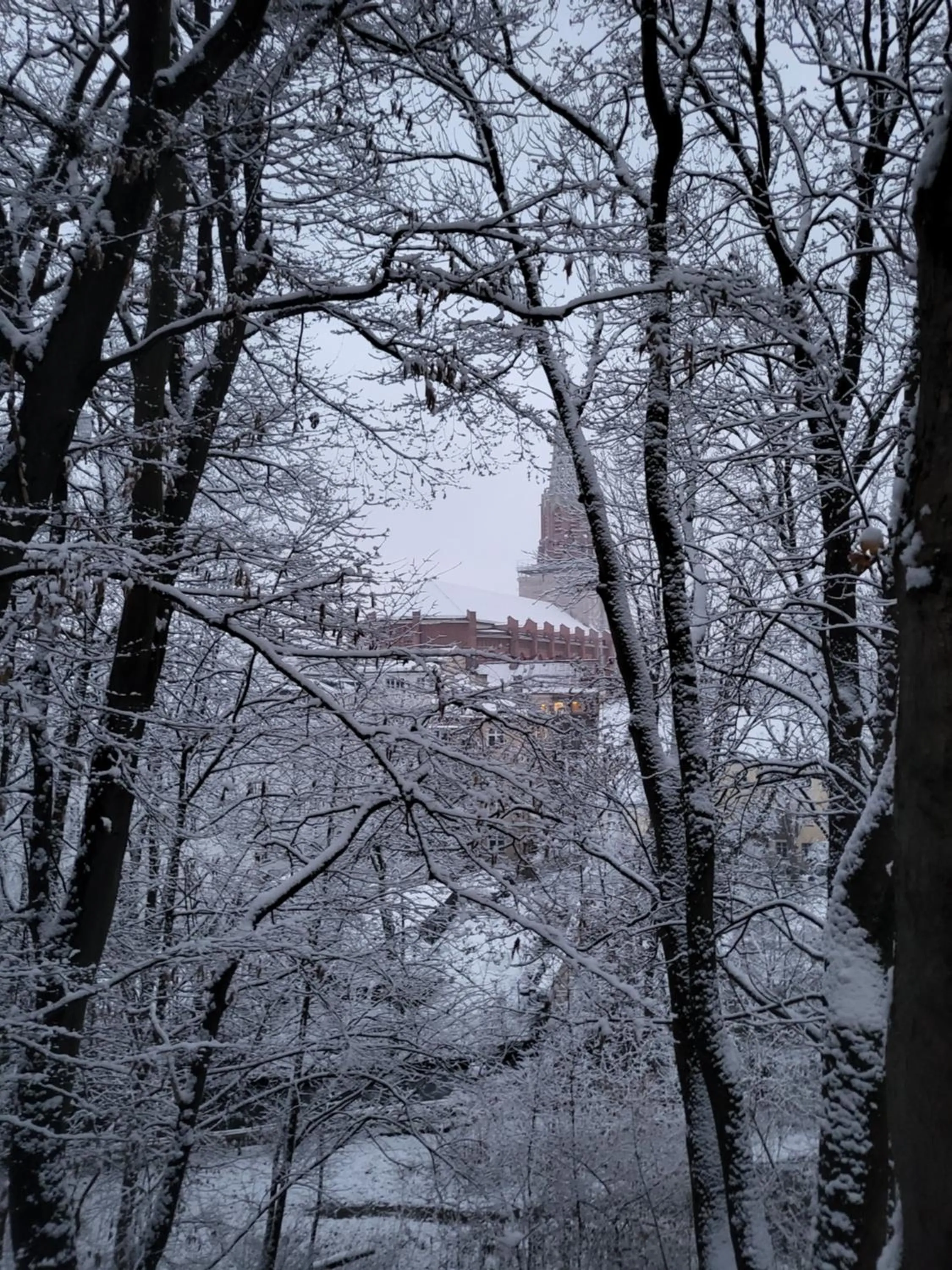 Landmark view in Hotel Prinz