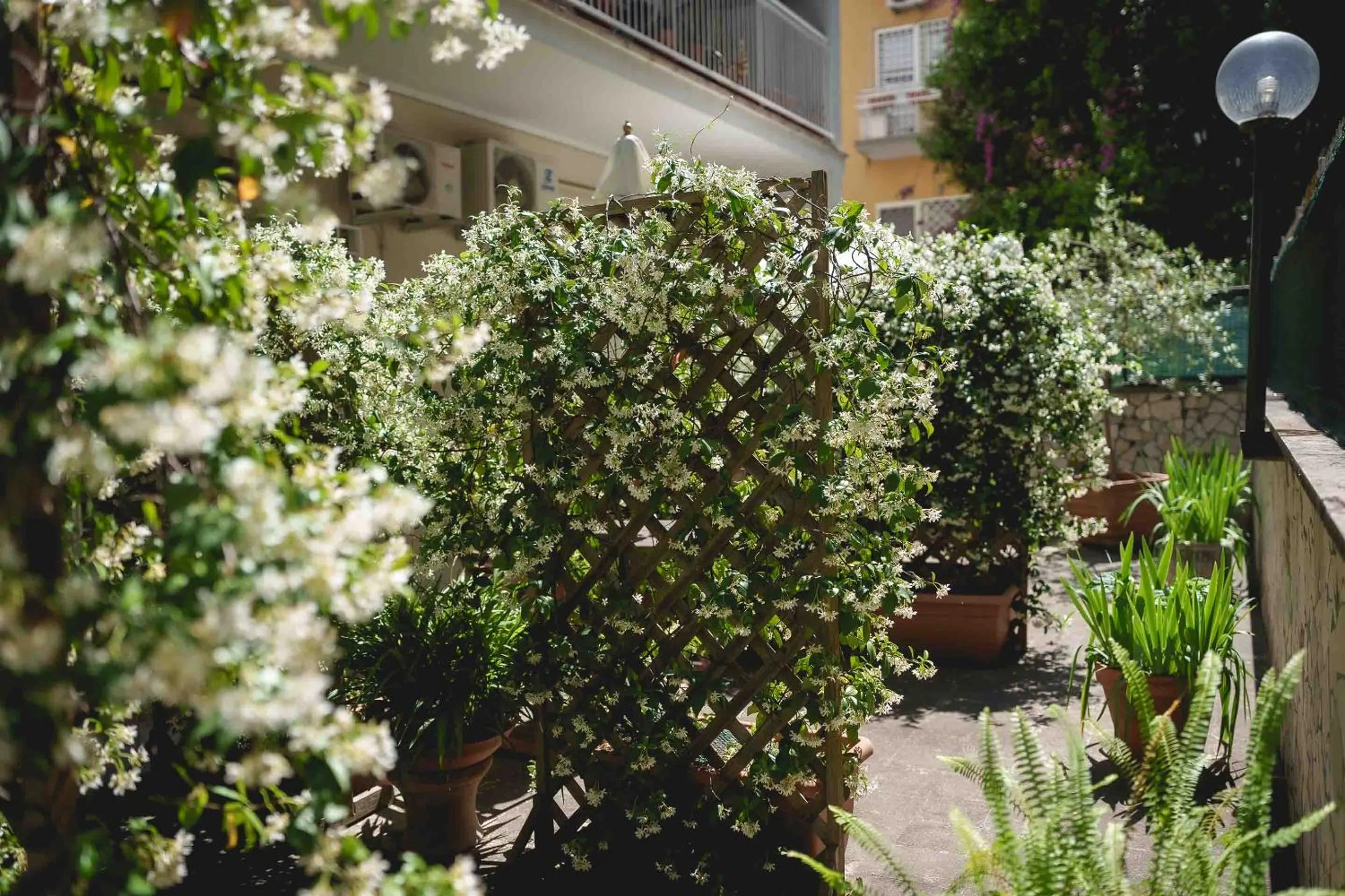 Garden in Le Tare B&B