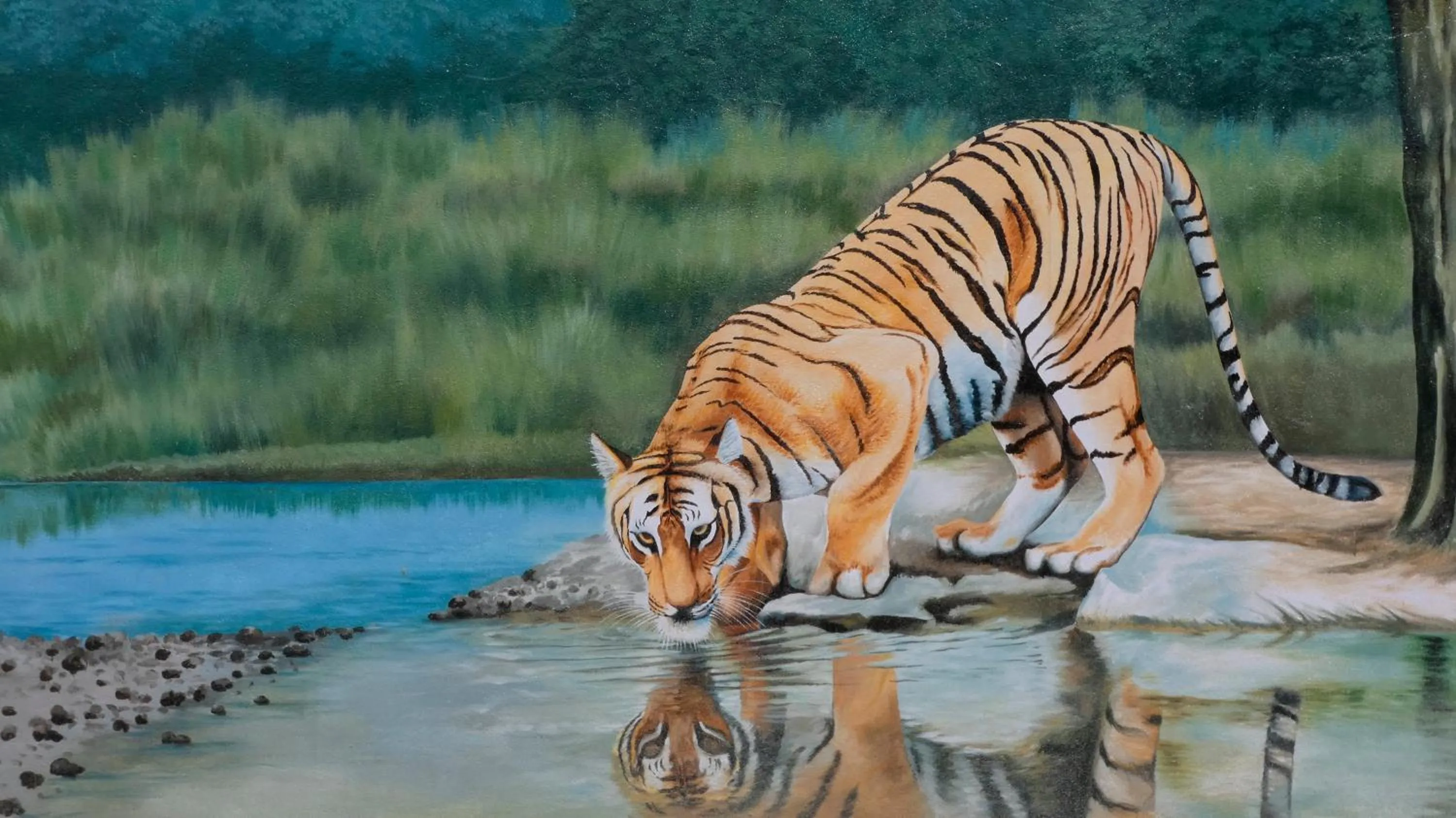 Property building in Babai Resort Pvt Ltd