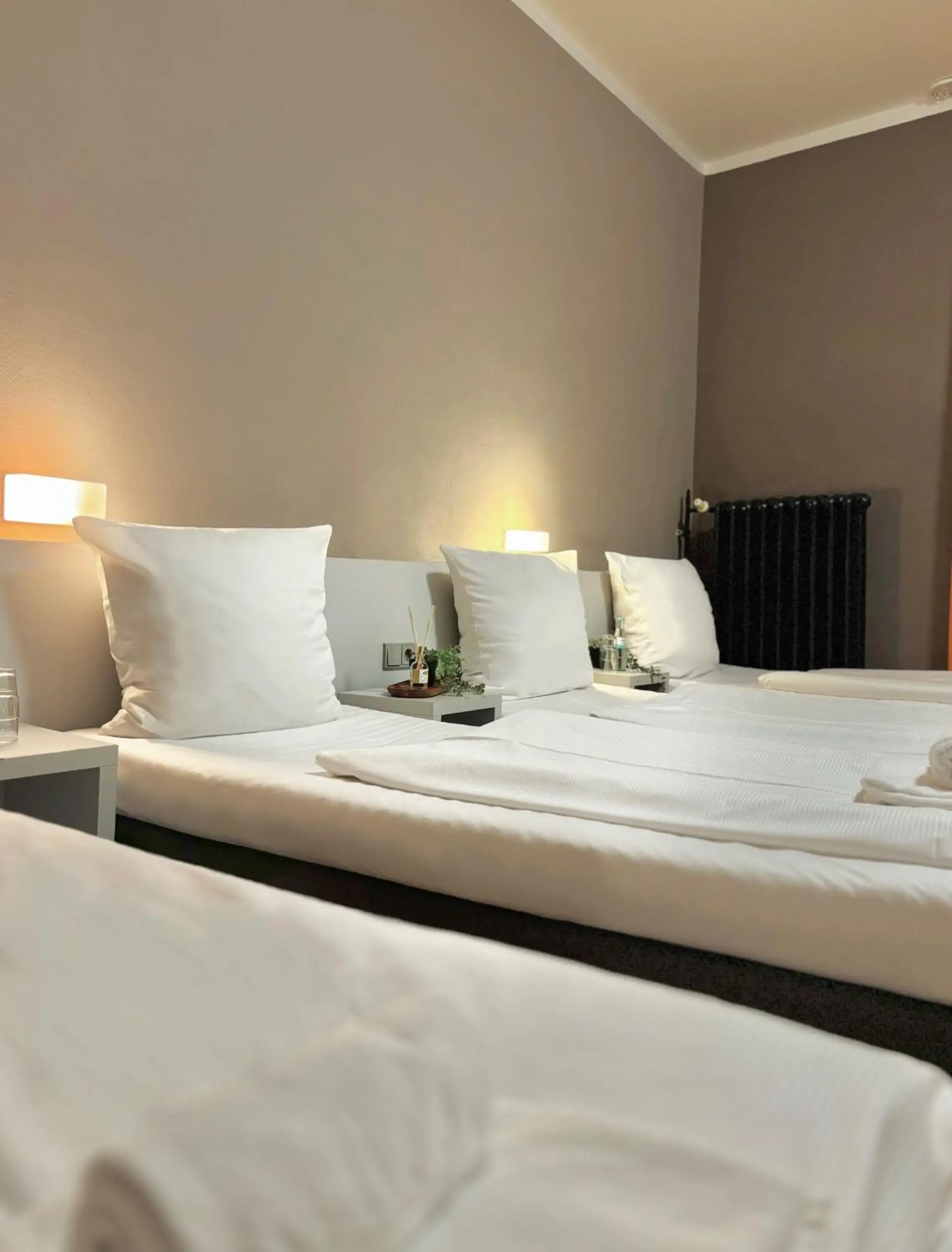 Quadruple Room in Colour Hotel Quadruple Room in Colour Hotel