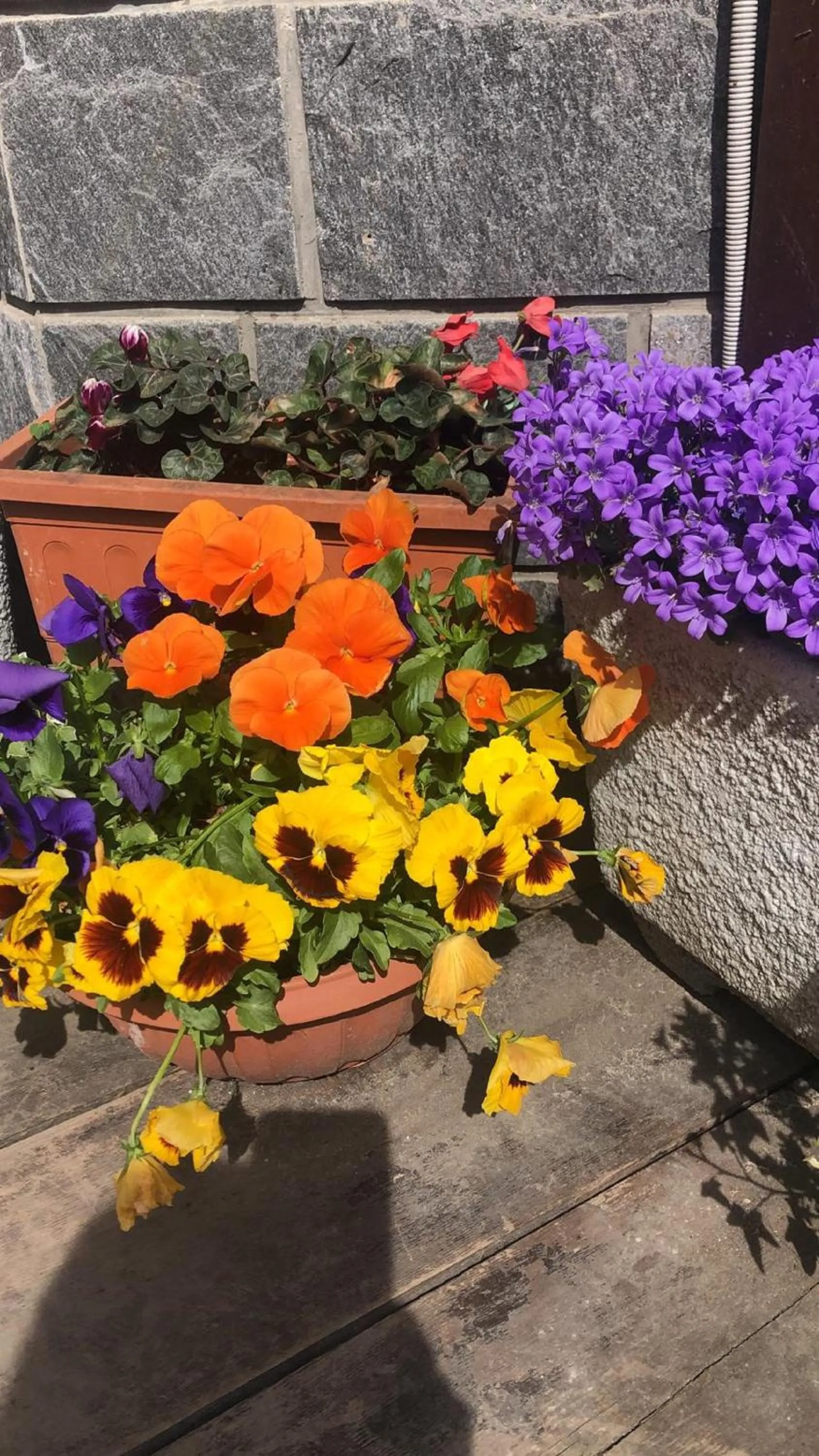 San Luigi - Rooms & Apartments