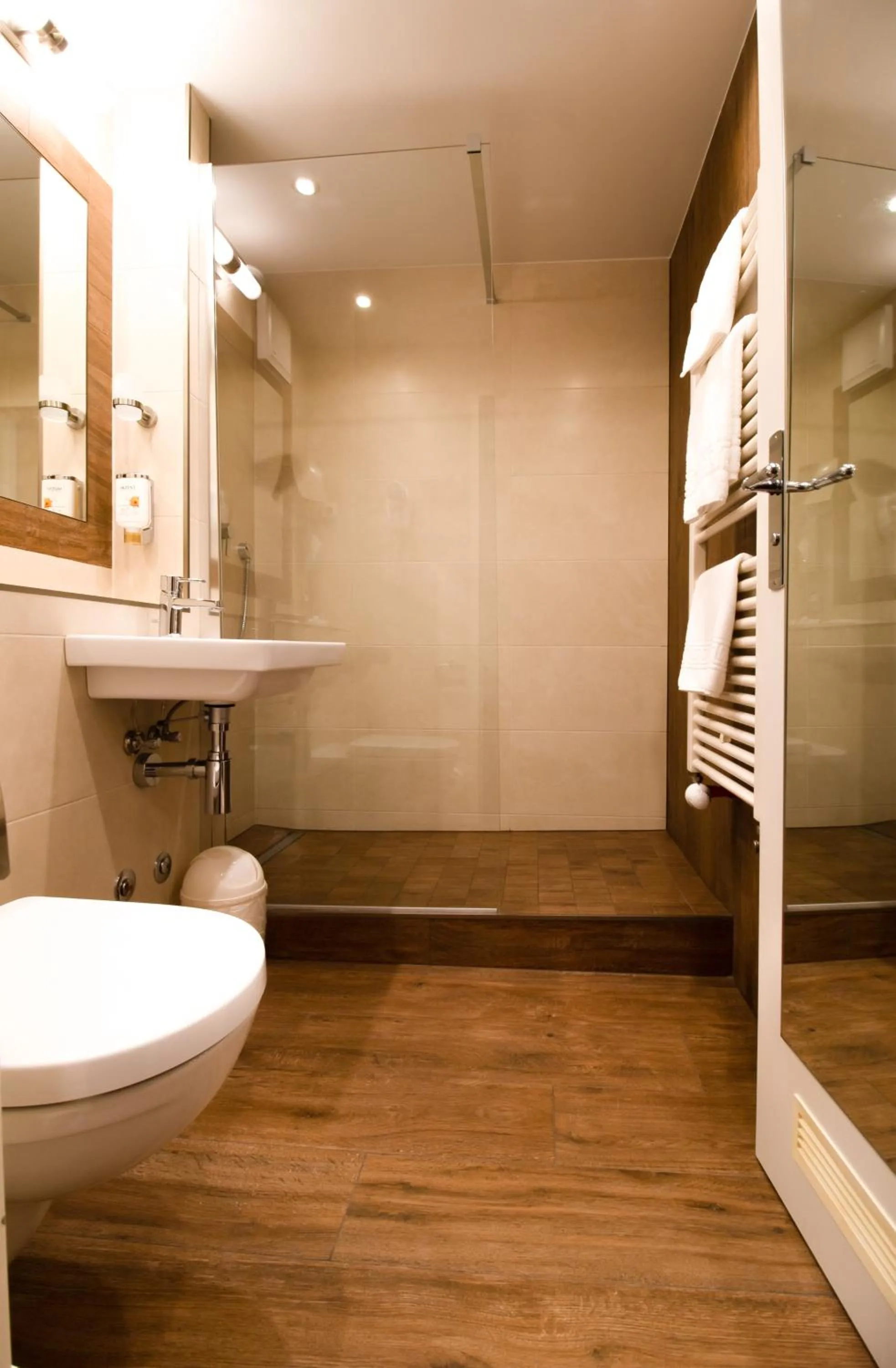 Other in Akzent Hotel Am Goldenen Strauss