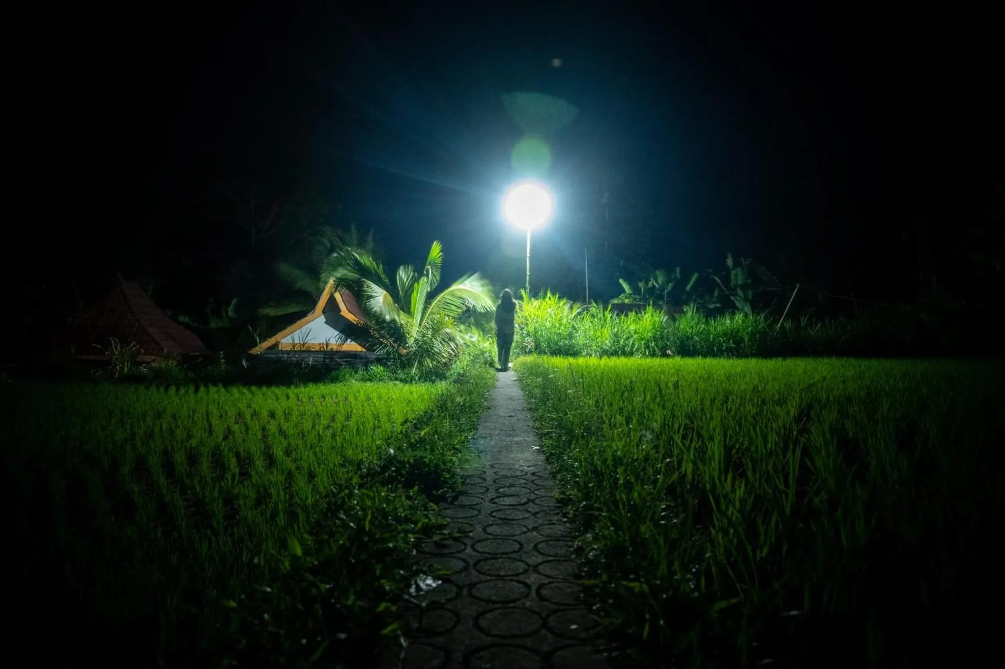 Wina Wani Bungalows Tetebatu