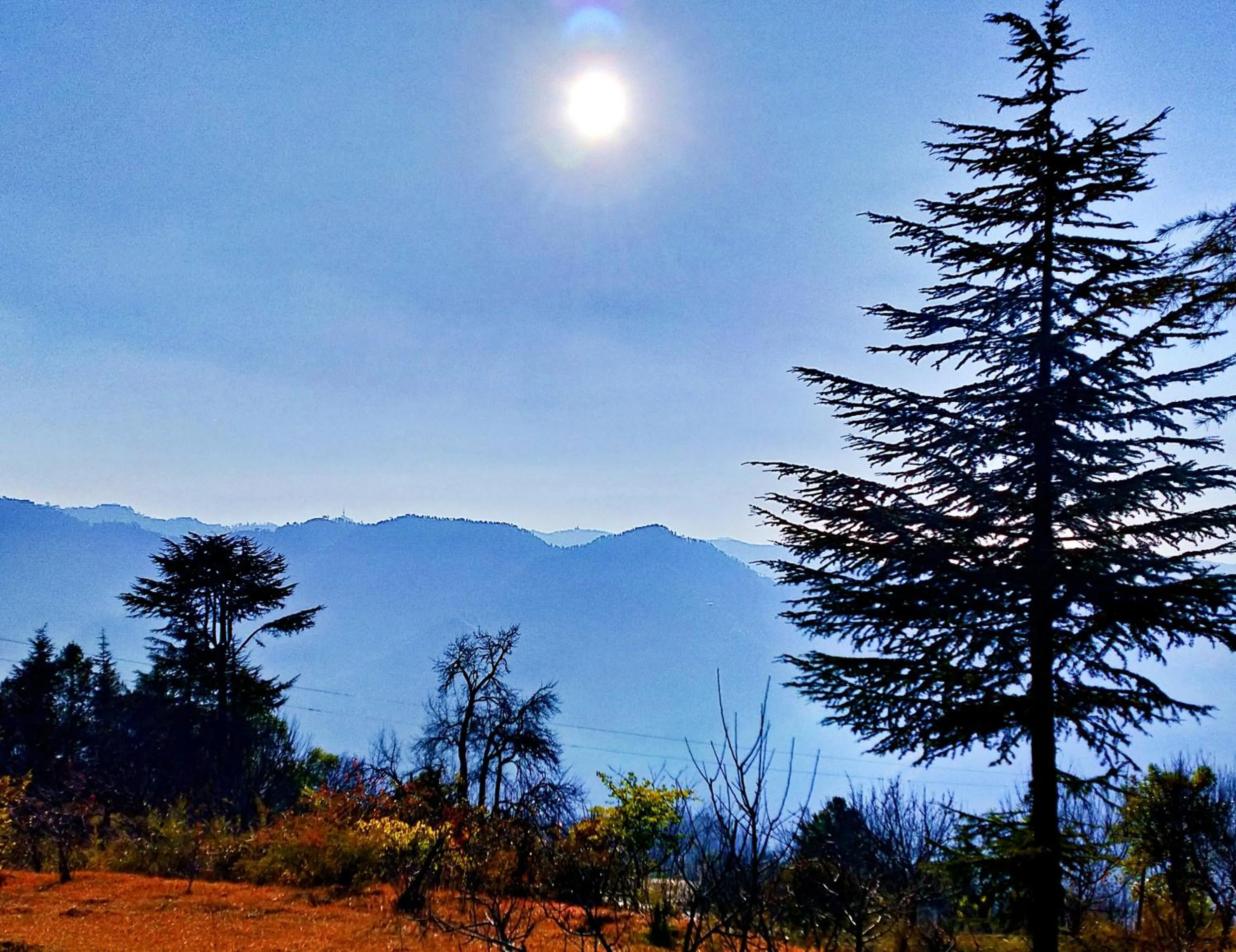 Merlin Grove Suites Simla