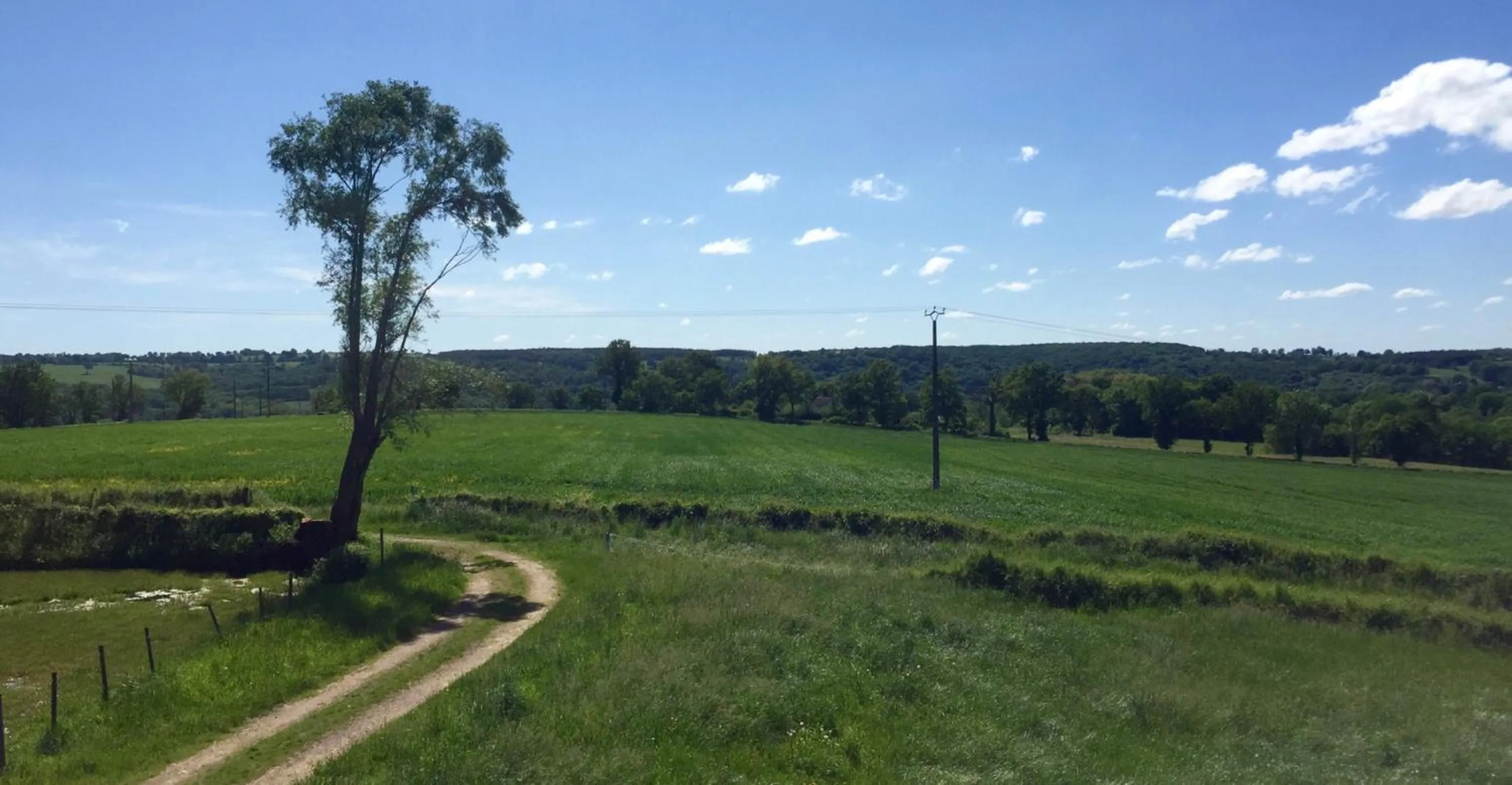 View (from property/room) in chambres d'hôtes Domaine les Grands Pérons