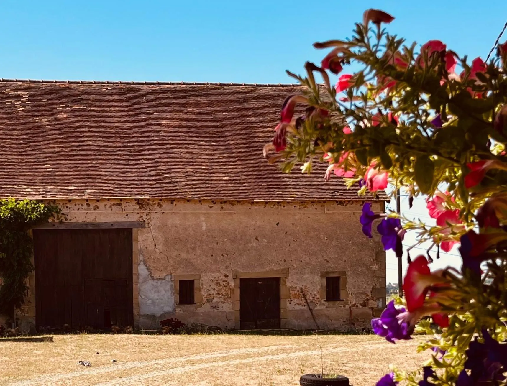 Garden in chambres d'hôtes Domaine les Grands Pérons