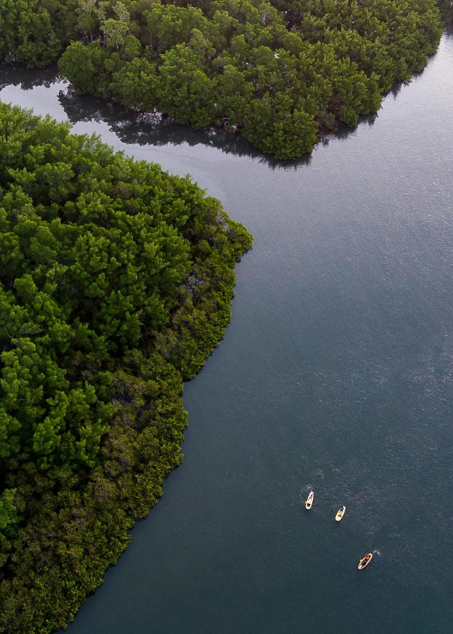 Natural landscape in Villa Kandui Boutique Hotel e Beach Lounge