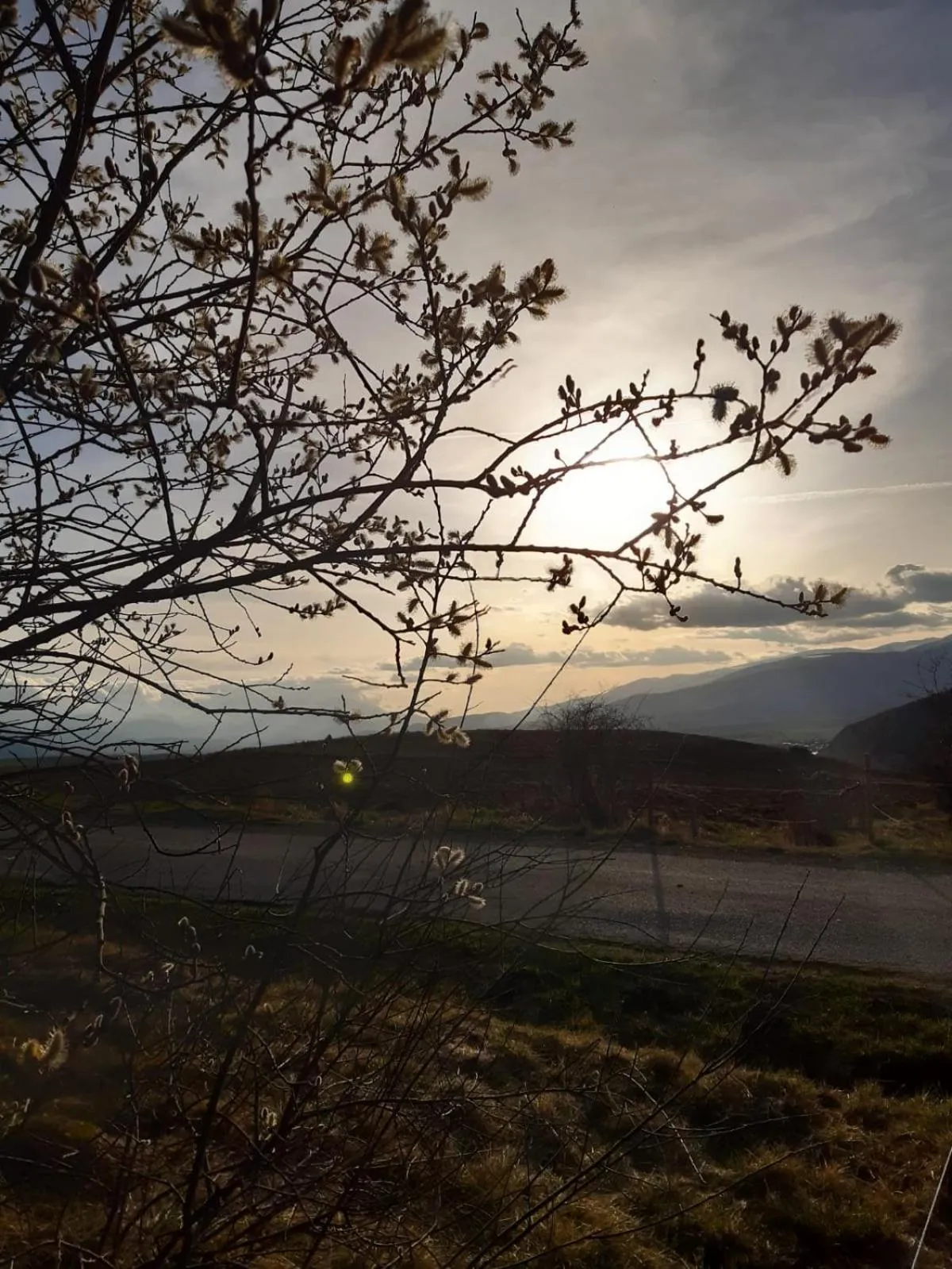 Mas Rondole - Chambres d'hôtes