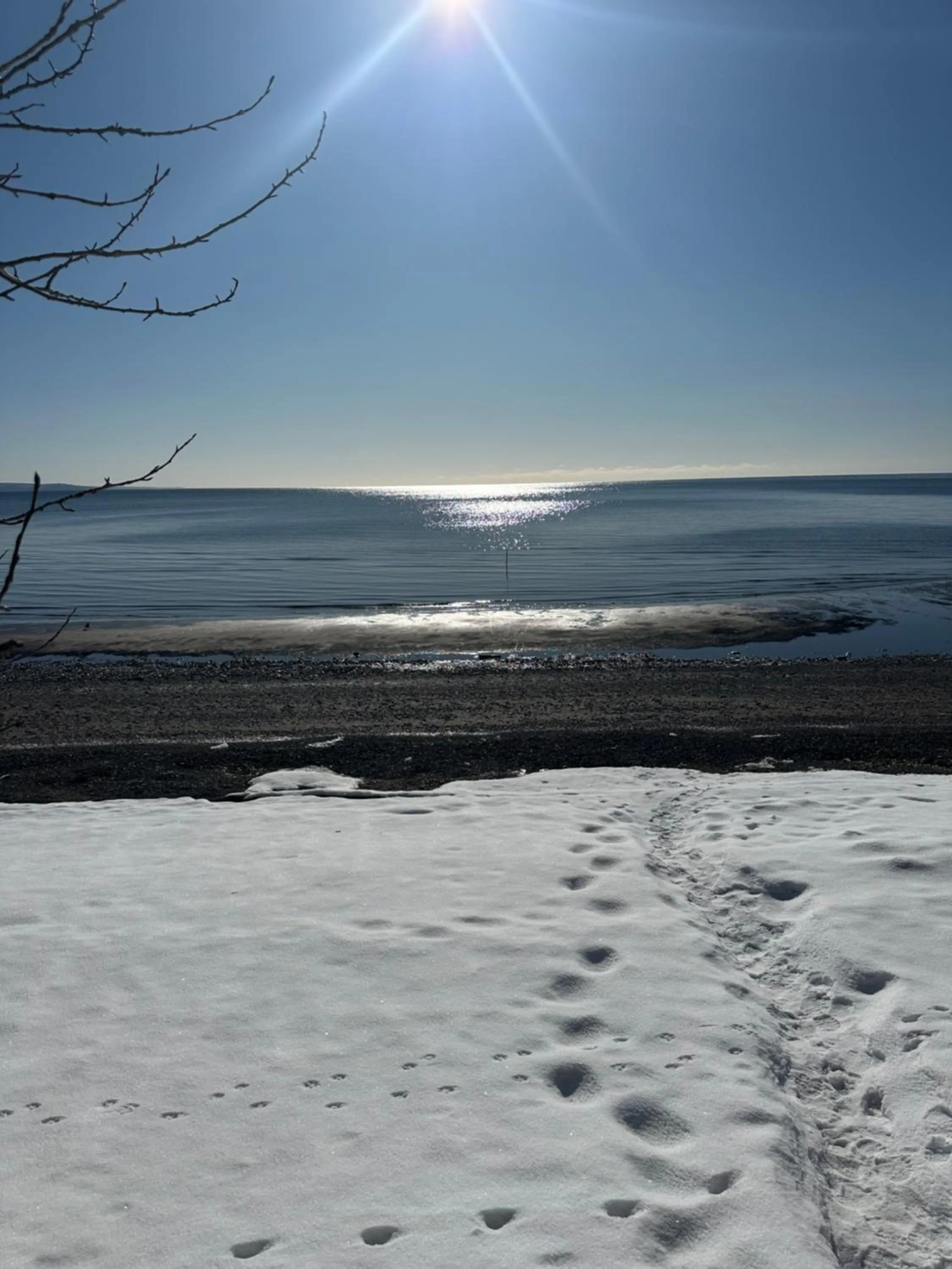 Motel Carleton Sur Mer