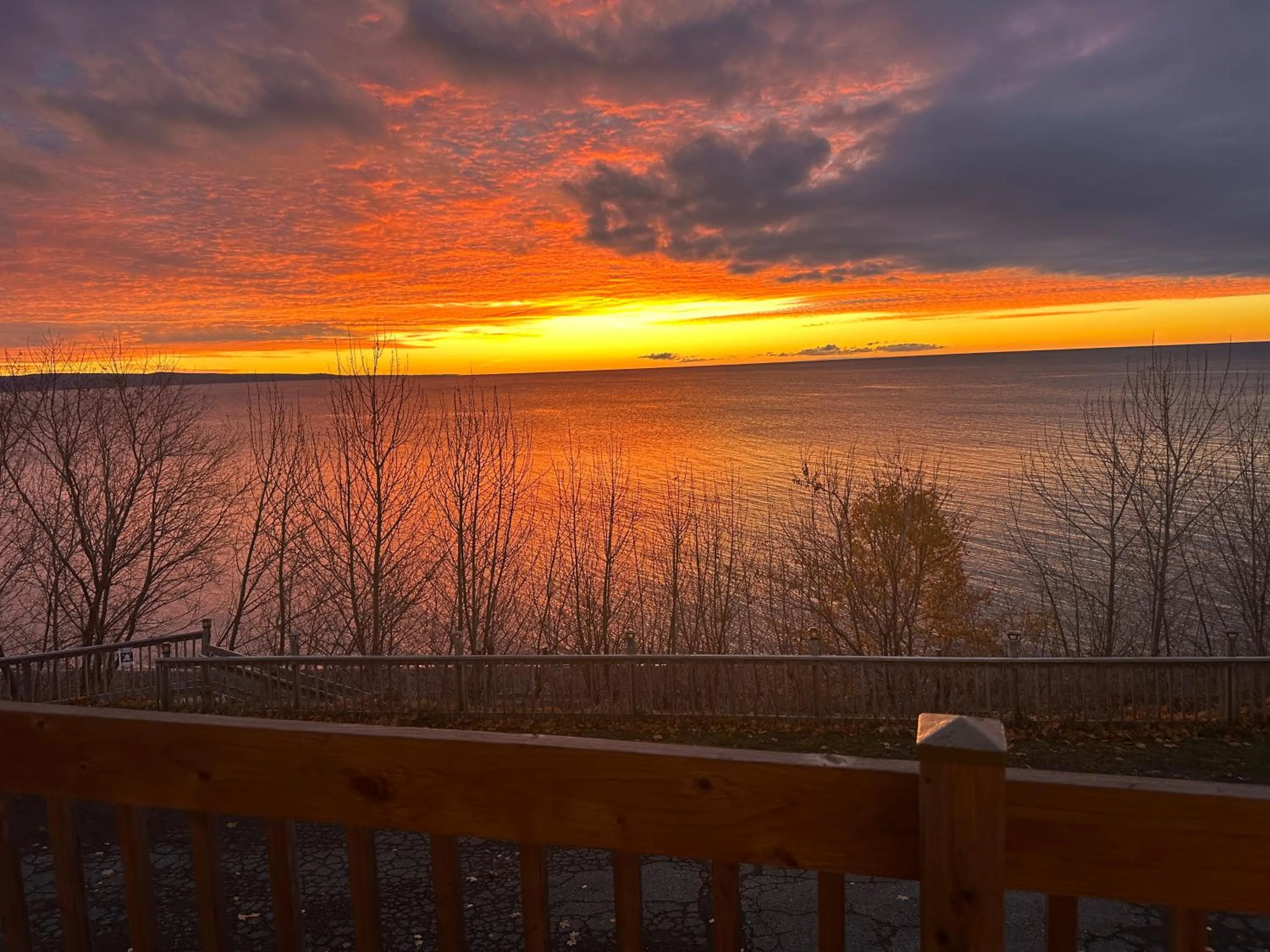 Natural landscape in Motel Carleton Sur Mer