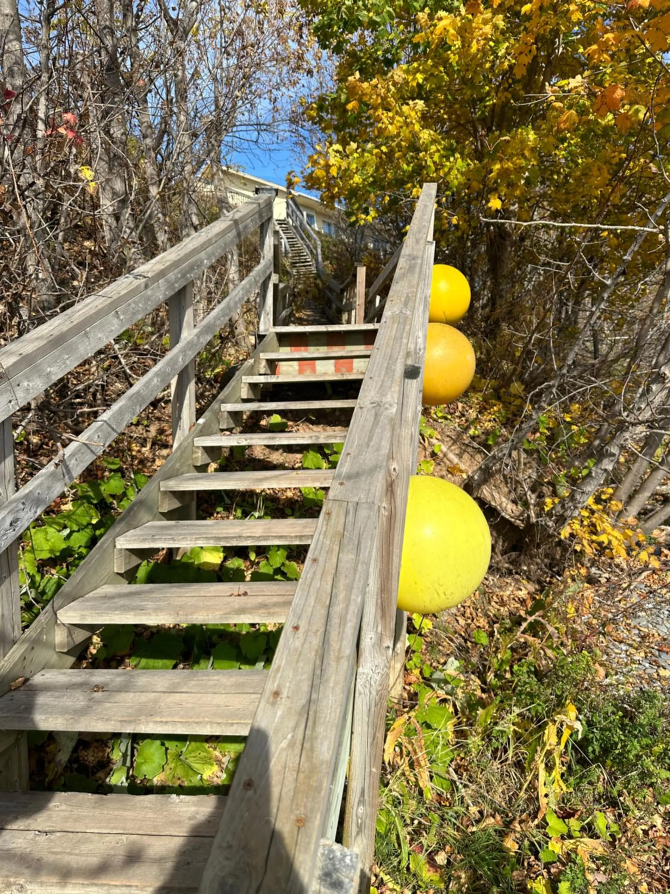 Beach in Motel Carleton Sur Mer