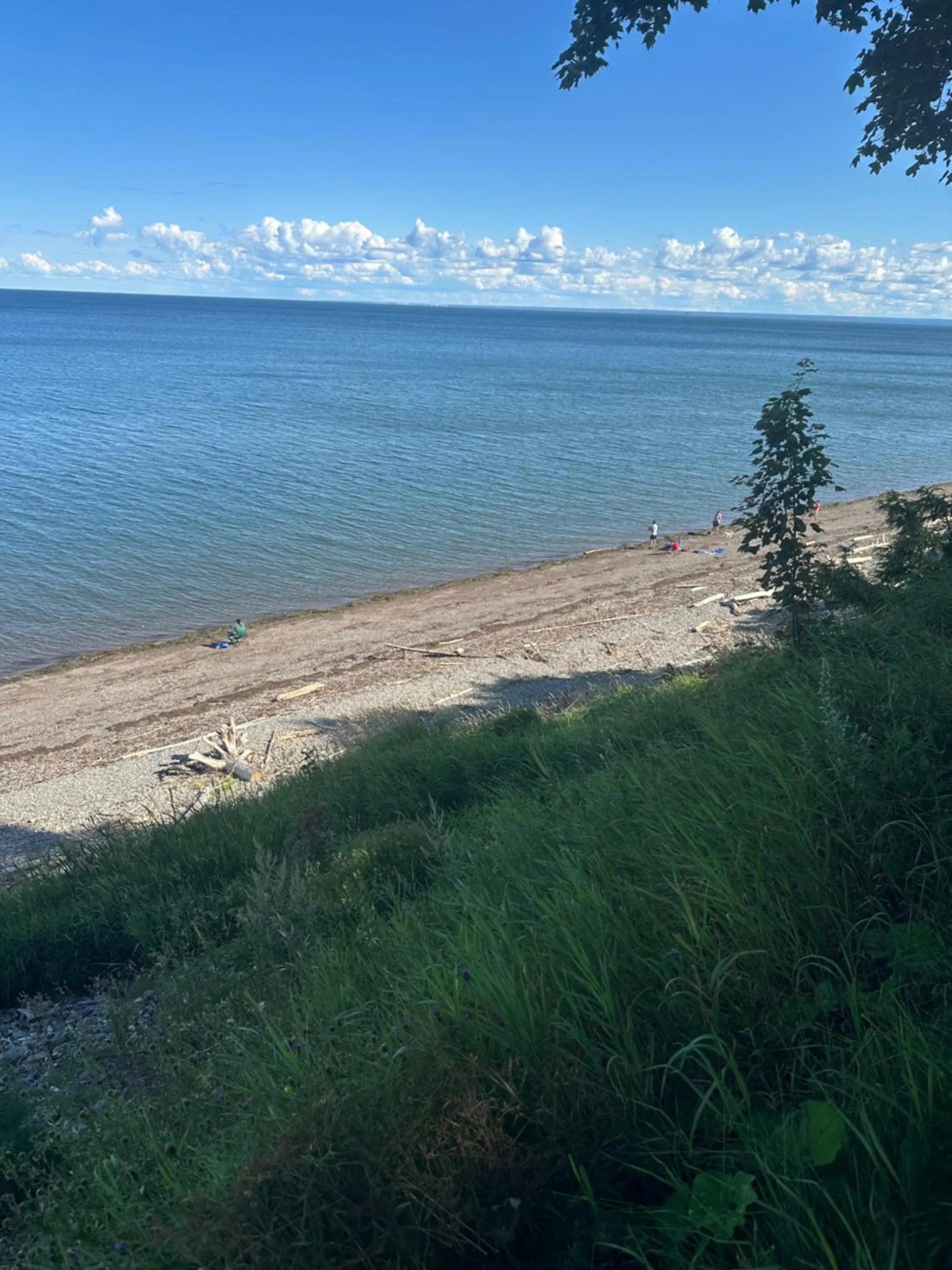 Natural landscape in Motel Carleton Sur Mer
