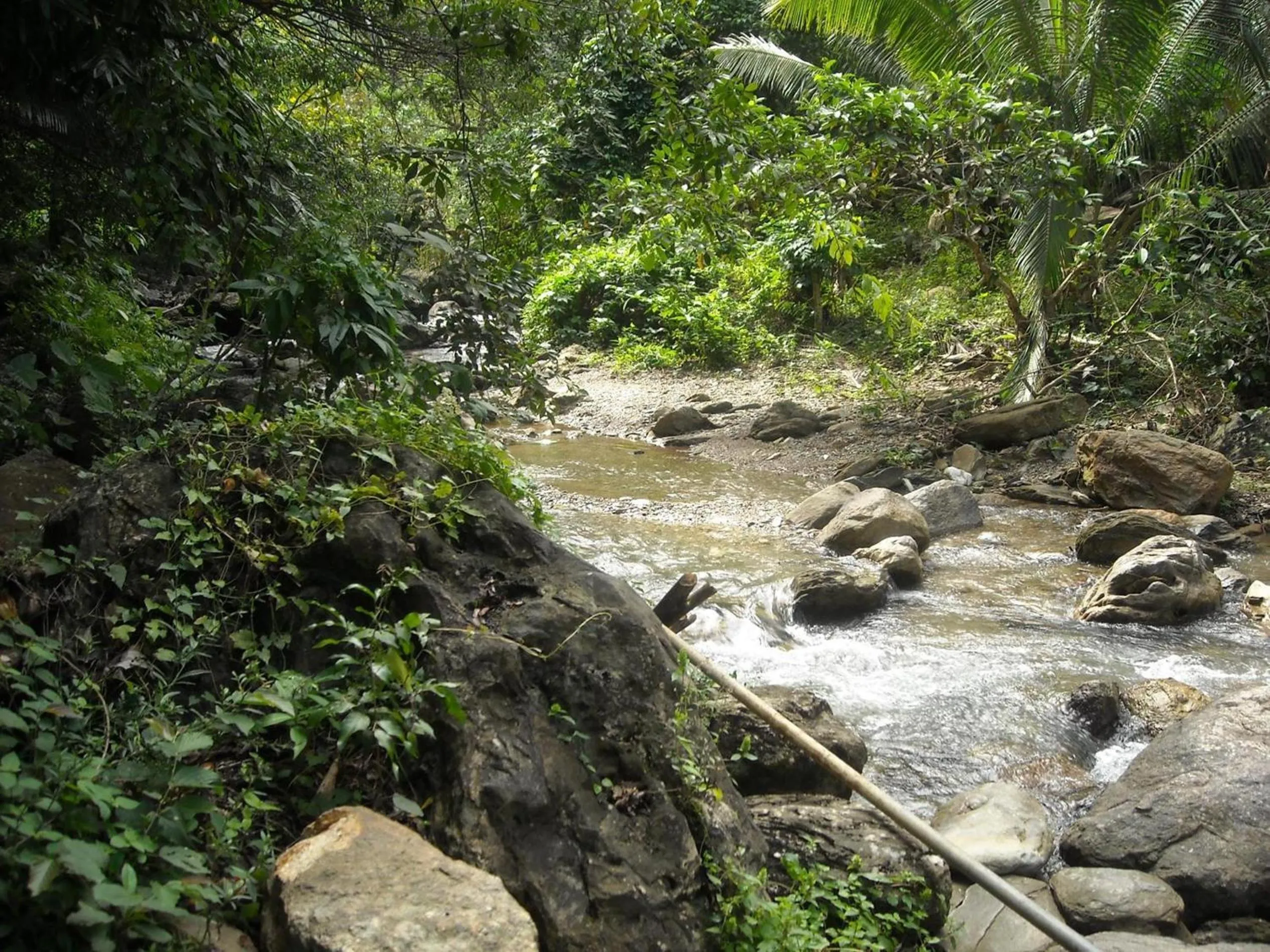 Area and facilities in Tribal Hills Mountain Resort