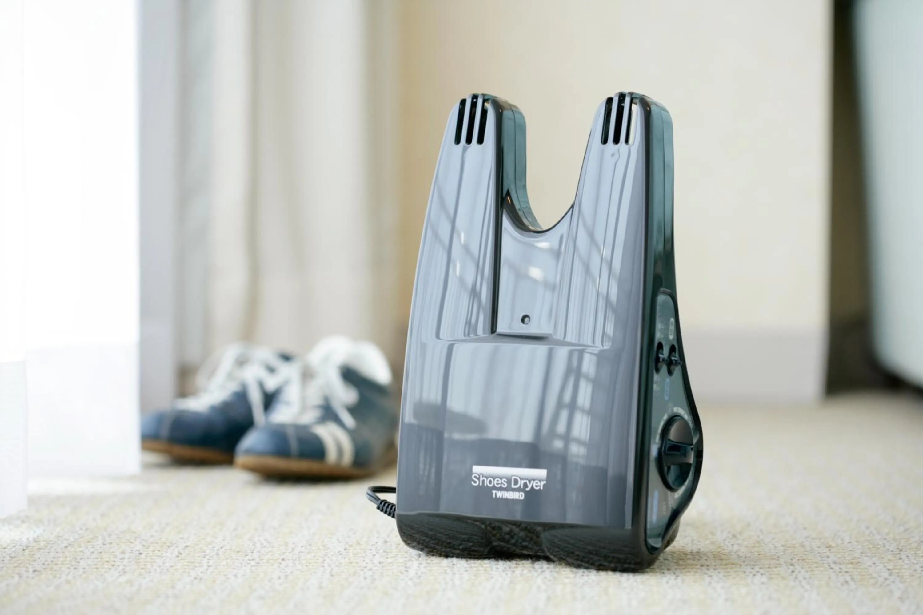 Photo of the whole room in Hotel Emion Kyoto