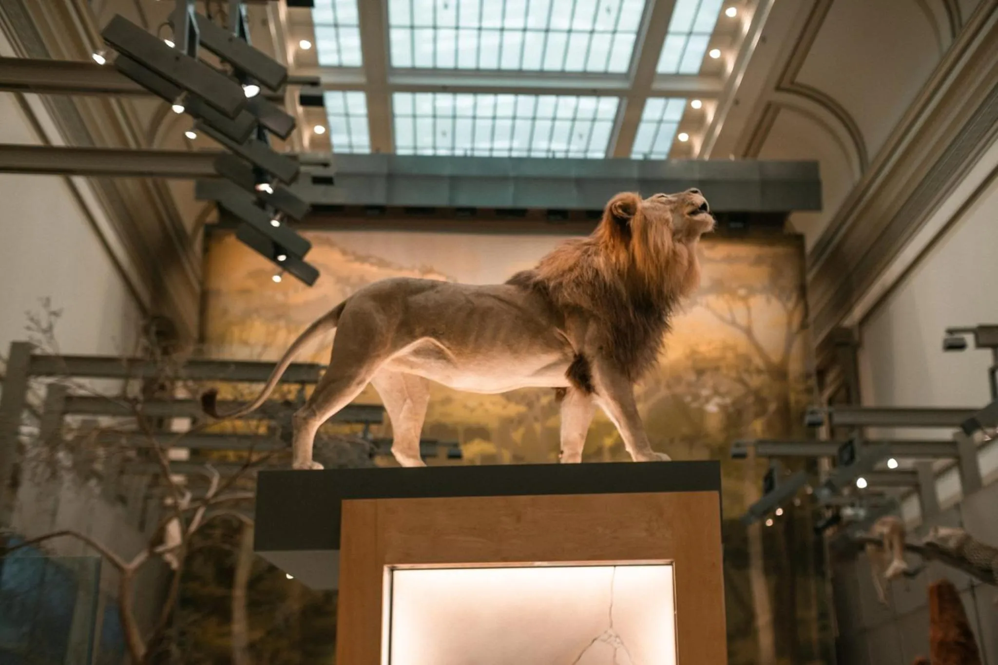 Nearby landmark in citizenM Washington Capital