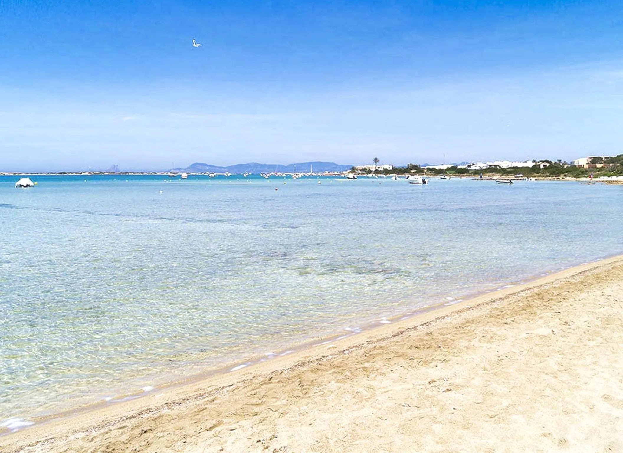 Natural landscape in Hotel Lago Dorado