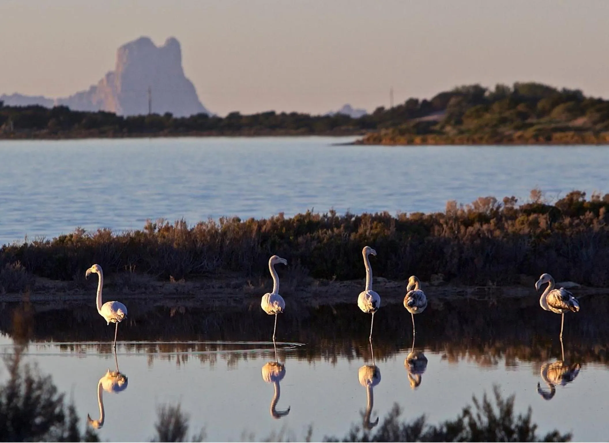 Natural landscape in Hotel Lago Dorado
