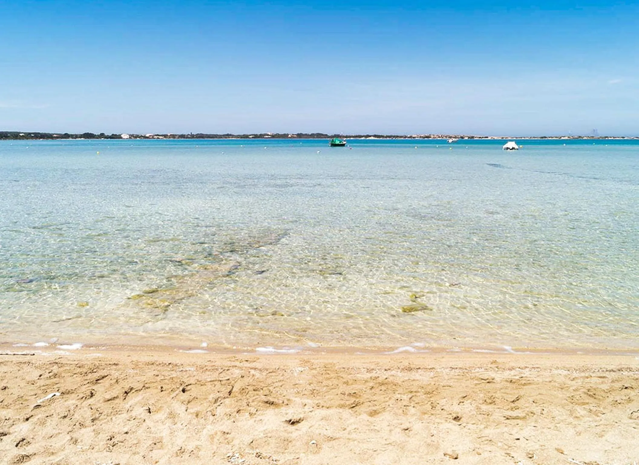 Natural landscape in Hotel Lago Dorado