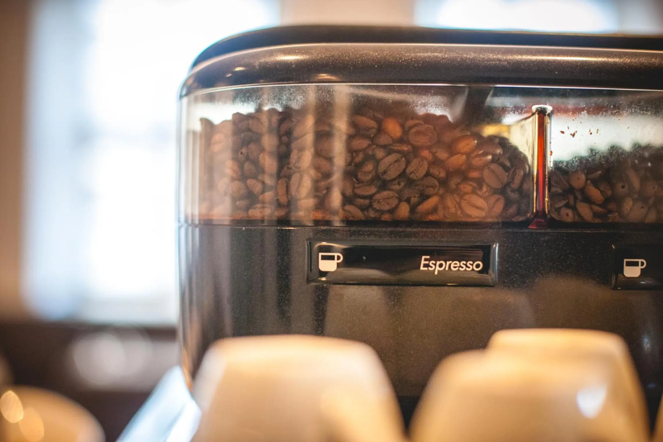 Food and drinks in Hotel Alexander