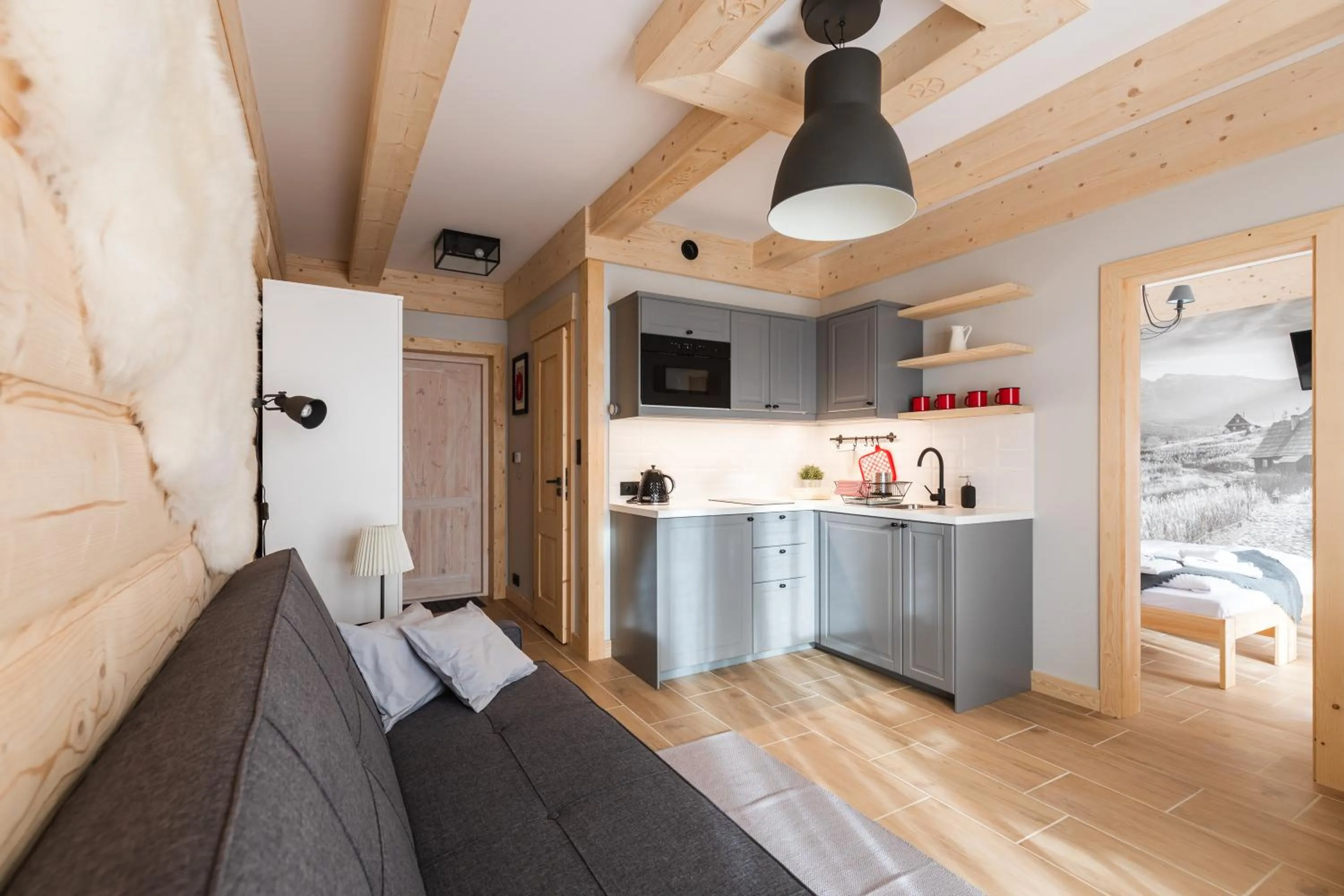 Kitchen or kitchenette in Apartamenty Zobacz Giewont Zakopane