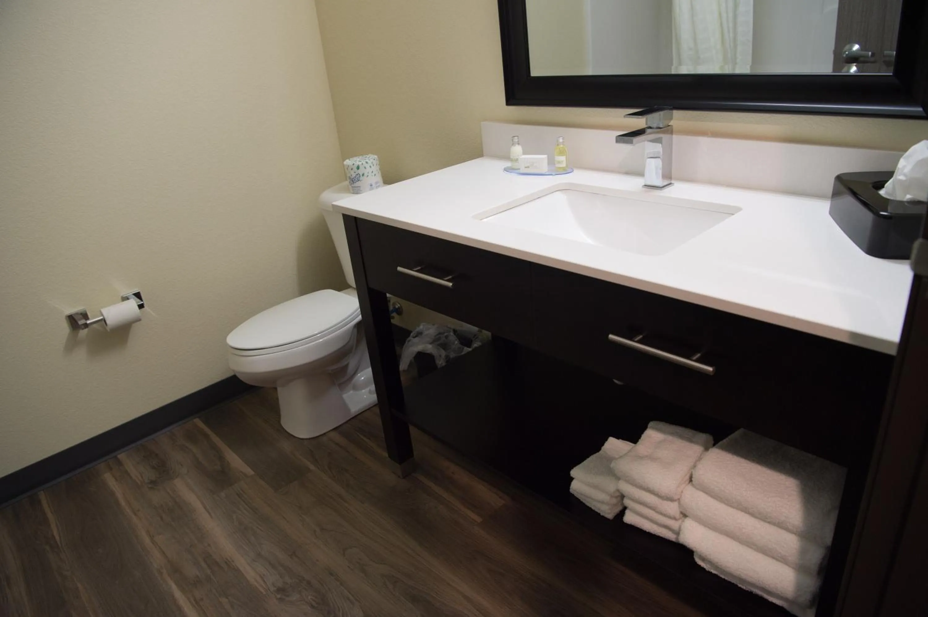 Toilet in Cobblestone Inn & Suites - Forest City